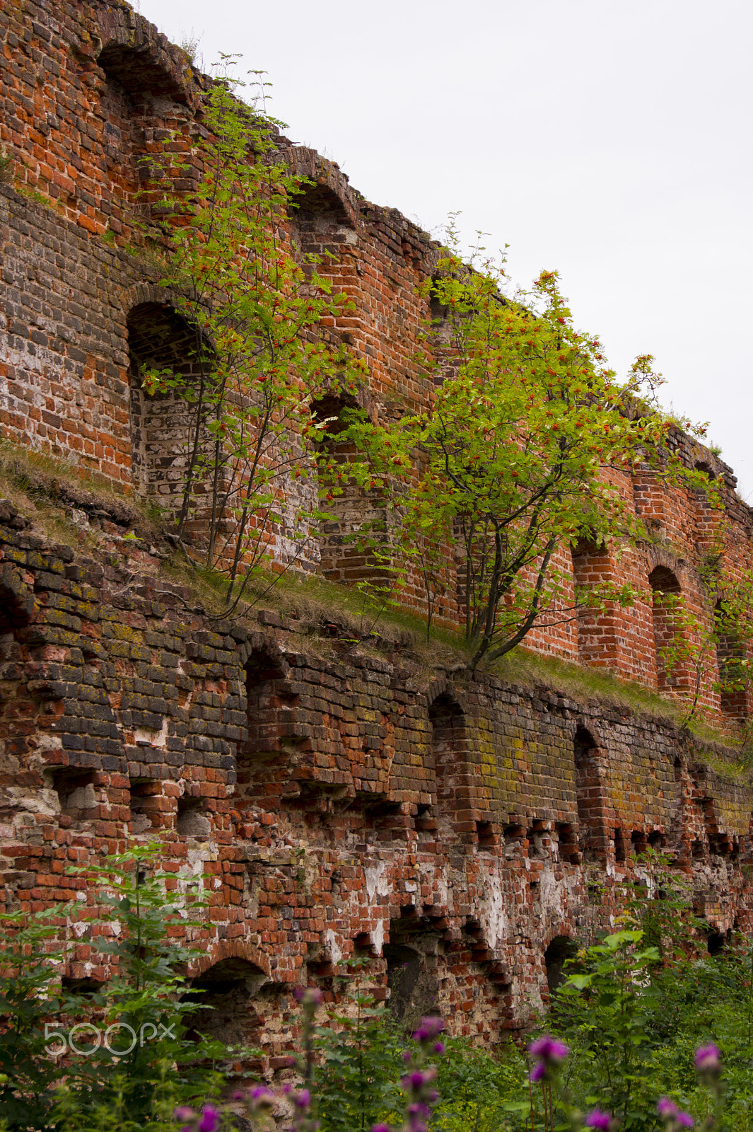 Sony Alpha DSLR-A450 + Sony DT 18-55mm F3.5-5.6 SAM sample photo. Brandenburg castle ruins photography