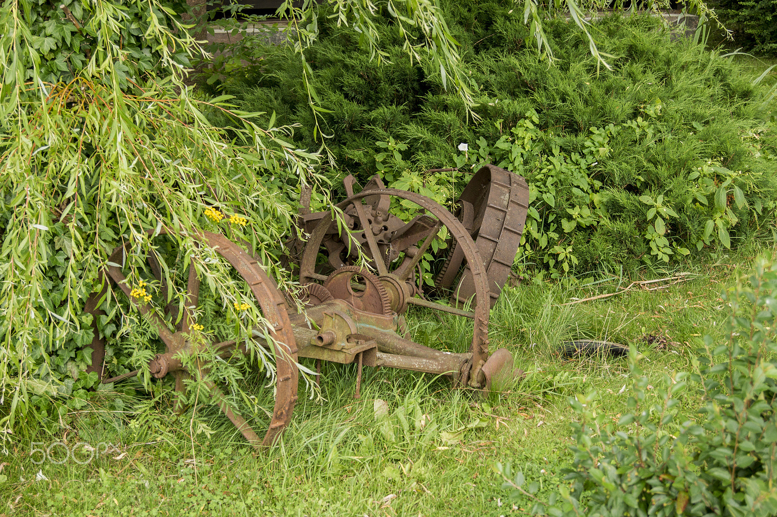 Sony Alpha DSLR-A450 + Sony DT 18-55mm F3.5-5.6 SAM sample photo. Old plow photography