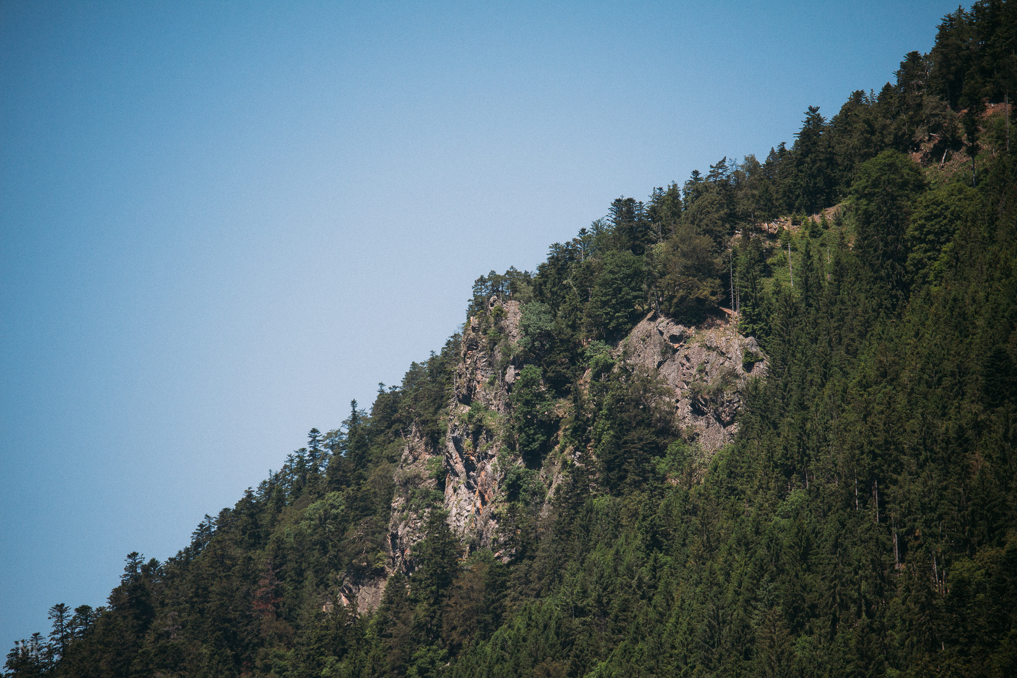 Canon EF-S 55-250mm F4-5.6 IS STM sample photo. Fifty - fifty photography