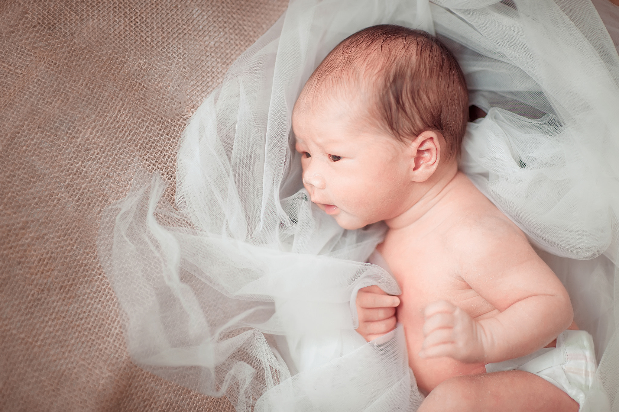 Nikon D4S + Sigma 85mm F1.4 EX DG HSM sample photo. Terryliphotography photography