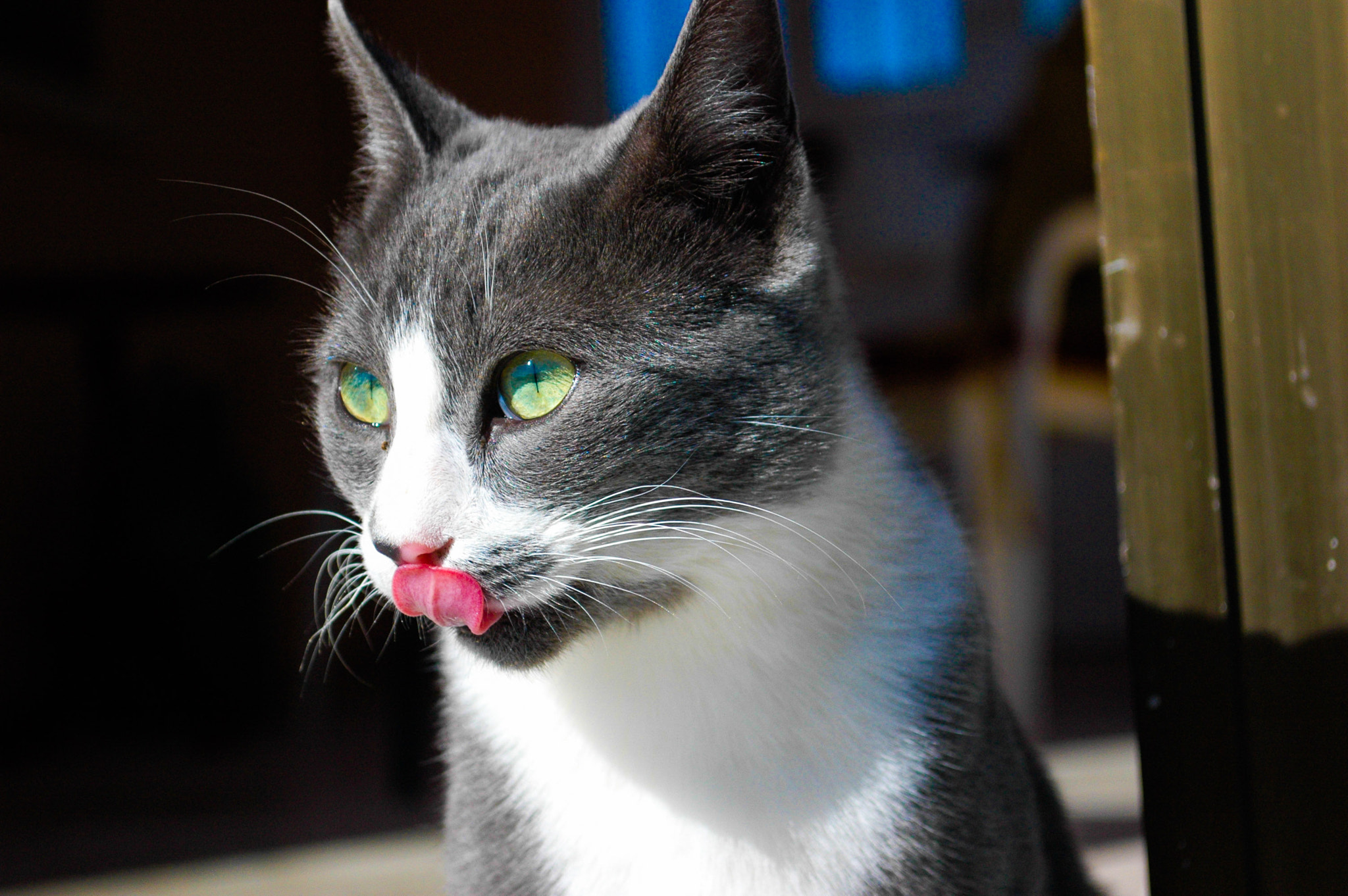 Nikon D70s sample photo