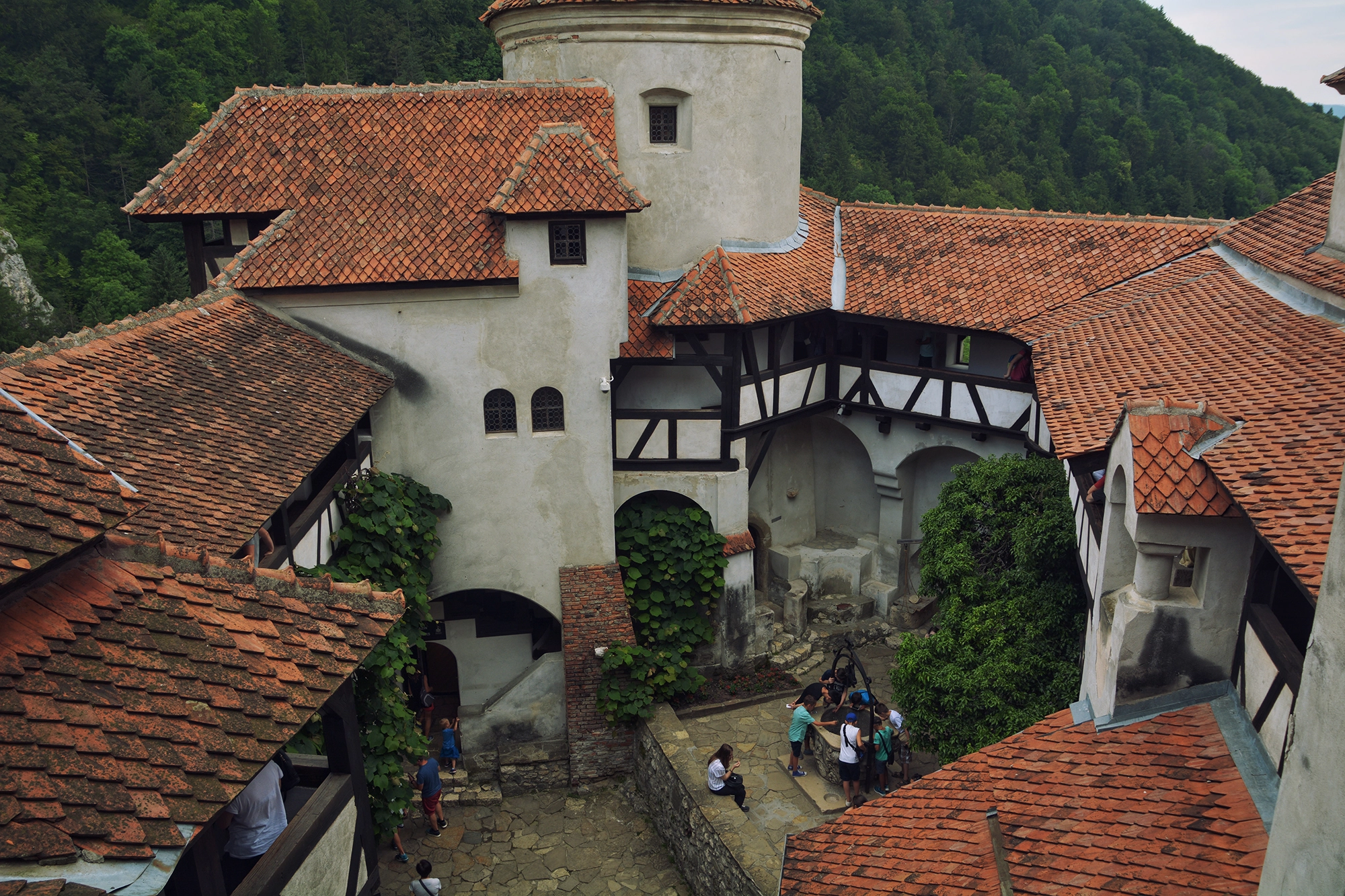 Nikon D7100 + Sigma 18-50mm F2.8 EX DC sample photo. Bran castle photography