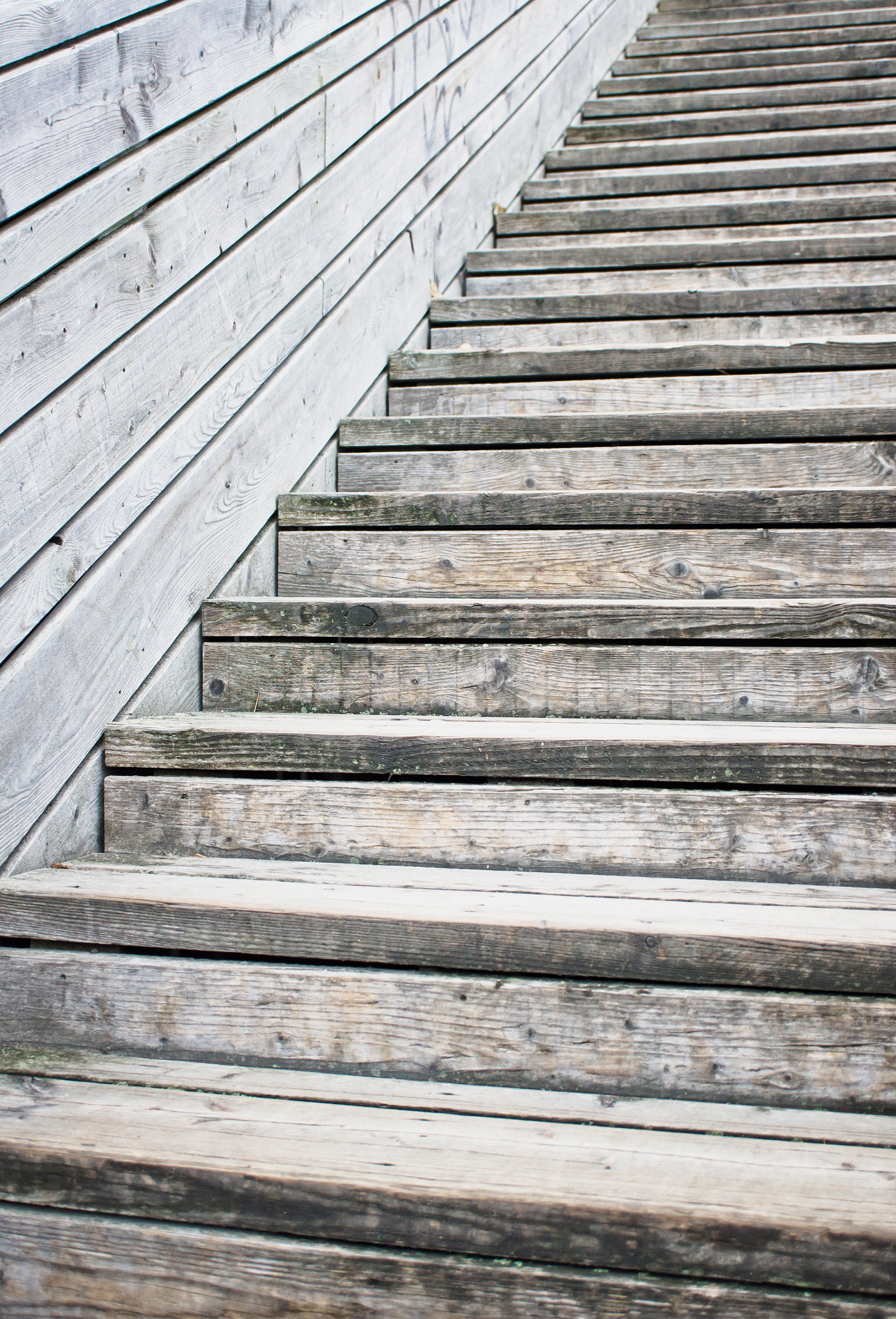 Sony Alpha NEX-5 + Sony E 30mm F3.5 Macro sample photo. Wooden steps photography