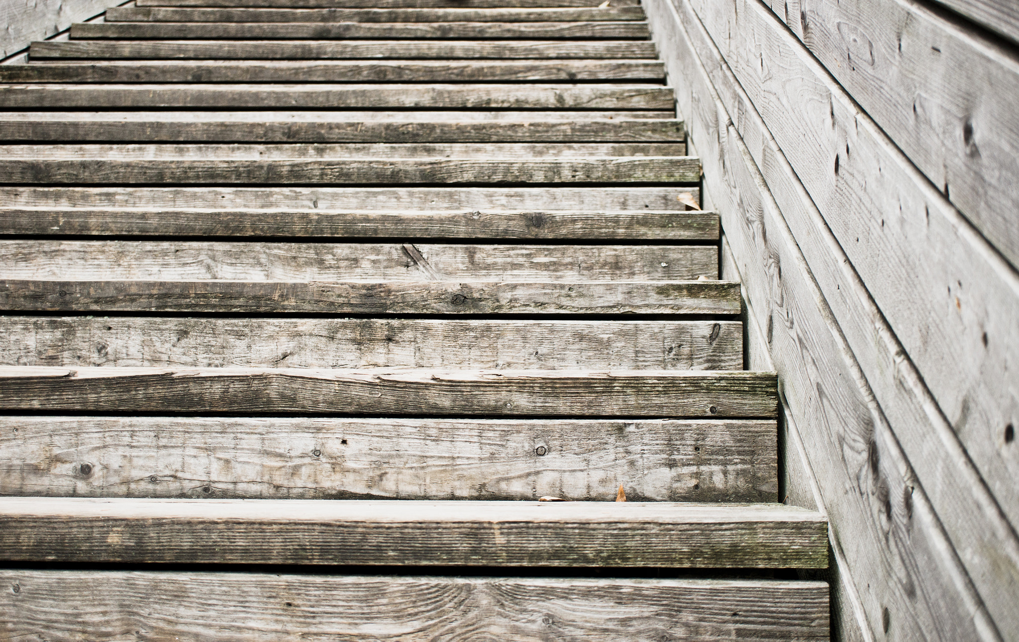 Sony Alpha NEX-5 + Sony E 30mm F3.5 Macro sample photo. Wooden steps photography