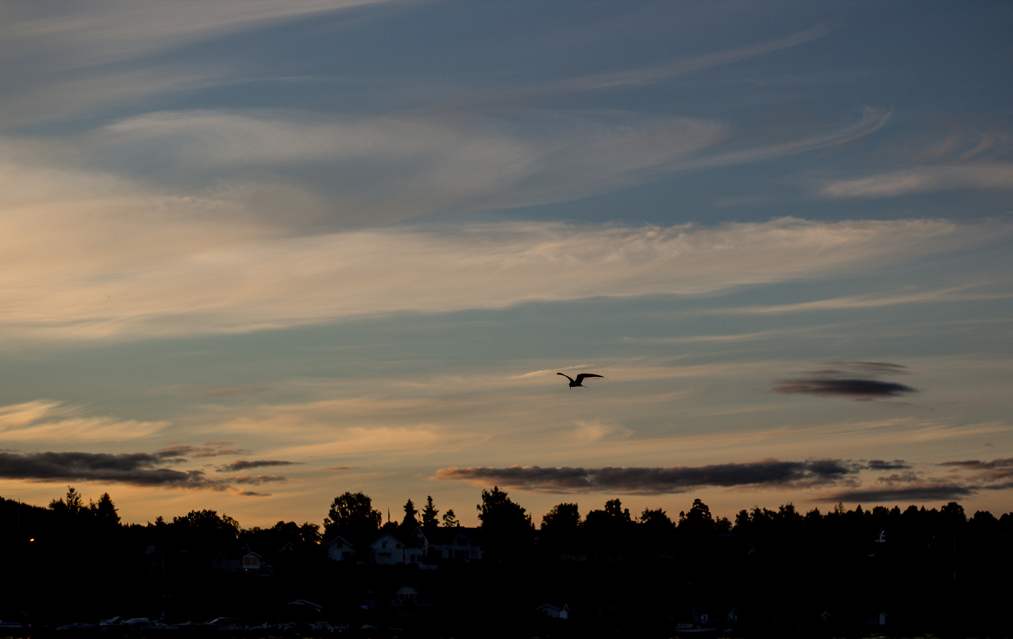 Canon EOS 1300D (EOS Rebel T6 / EOS Kiss X80) + Canon EF 50mm F1.8 II sample photo. Soft sunset photography