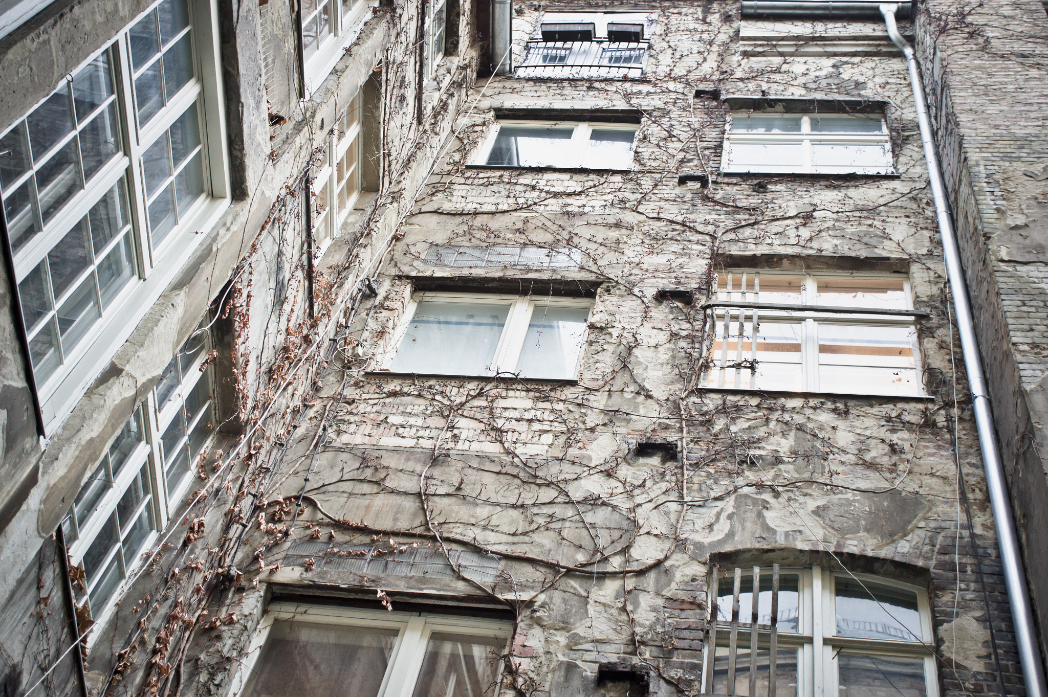 Sony Alpha NEX-5 + Sony E 30mm F3.5 Macro sample photo. Old building photography