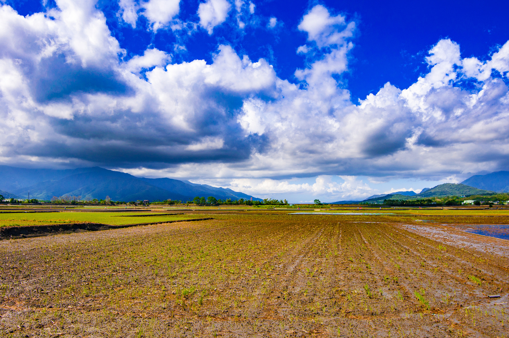 Nikon AF-S Nikkor 16-35mm F4G ED VR sample photo. 鄉間田野 photography