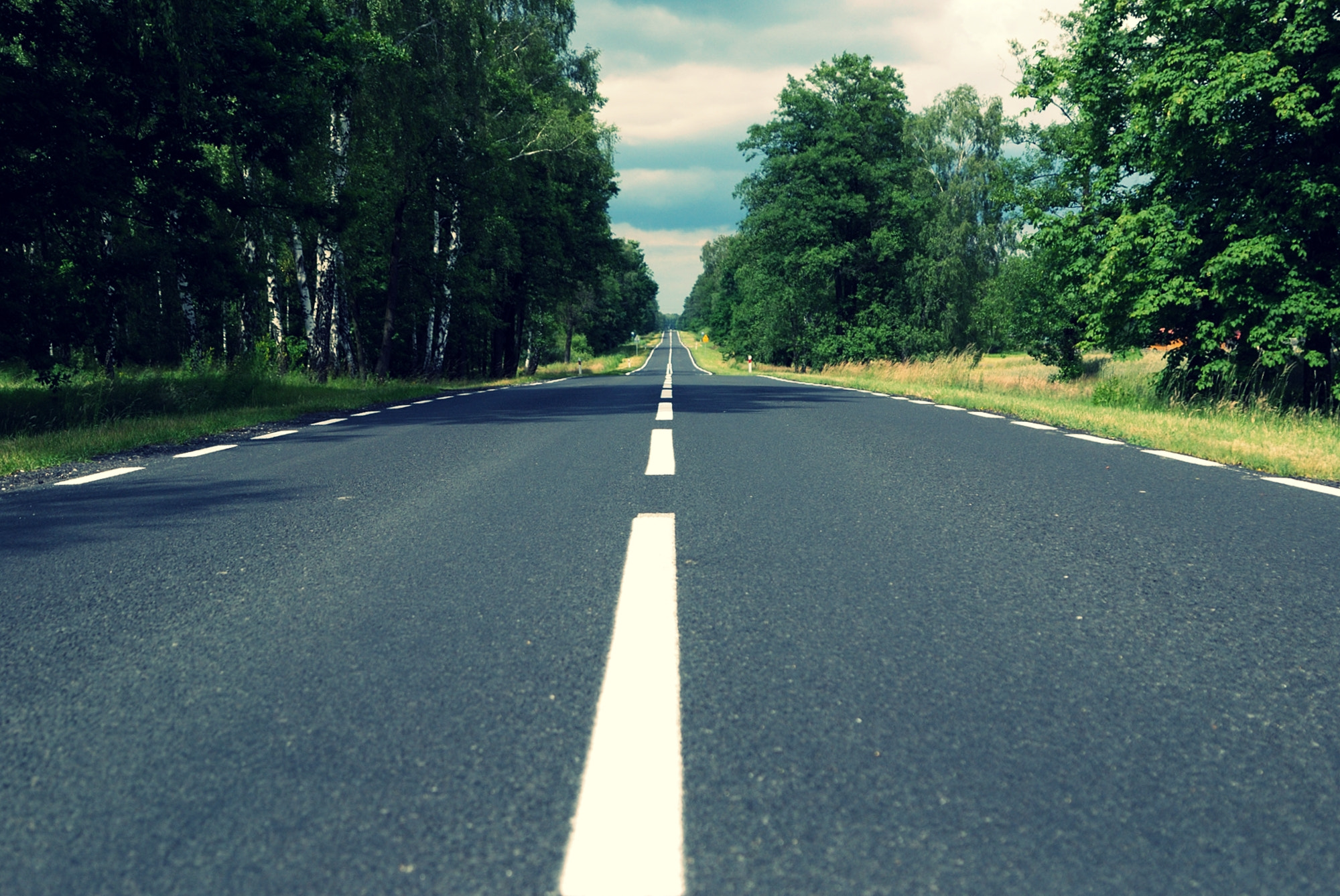 Nikon D80 sample photo. Straight ahead. photography