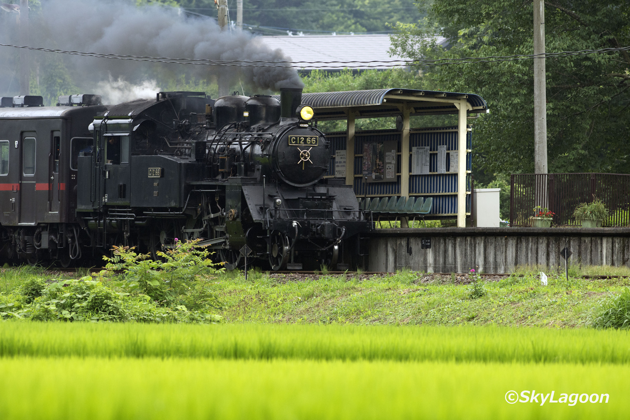Nikon AF-S Nikkor 300mm F2.8G ED VR II sample photo. C12-66 photography