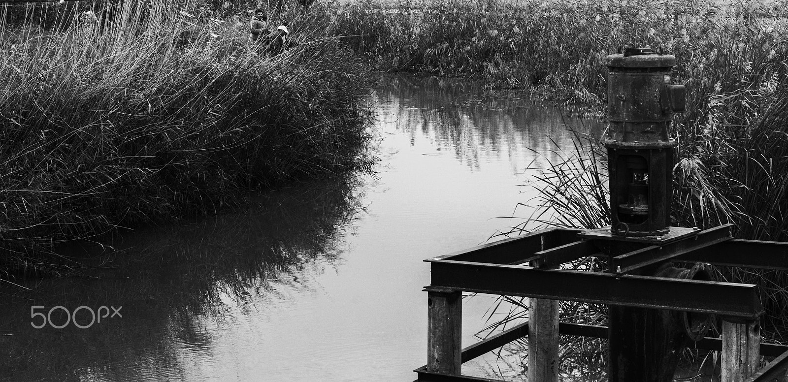 Canon EOS 1200D (EOS Rebel T5 / EOS Kiss X70 / EOS Hi) + Canon EF 50mm F1.8 II sample photo. Isla minima photography