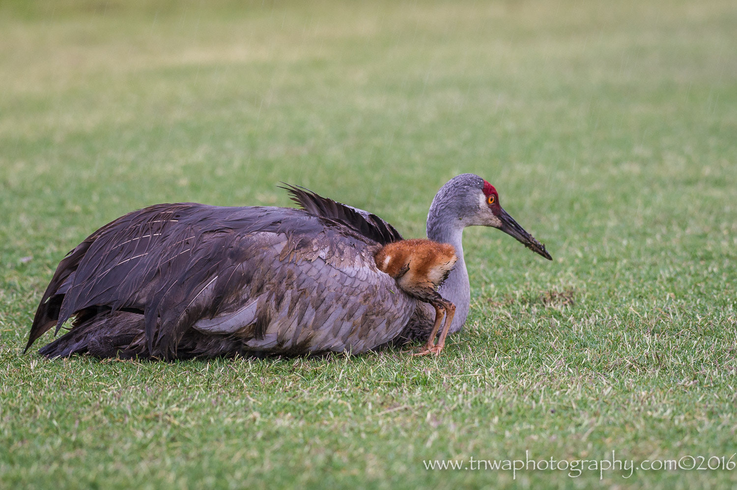 Nikon D3S sample photo. It can't be monday already! photography