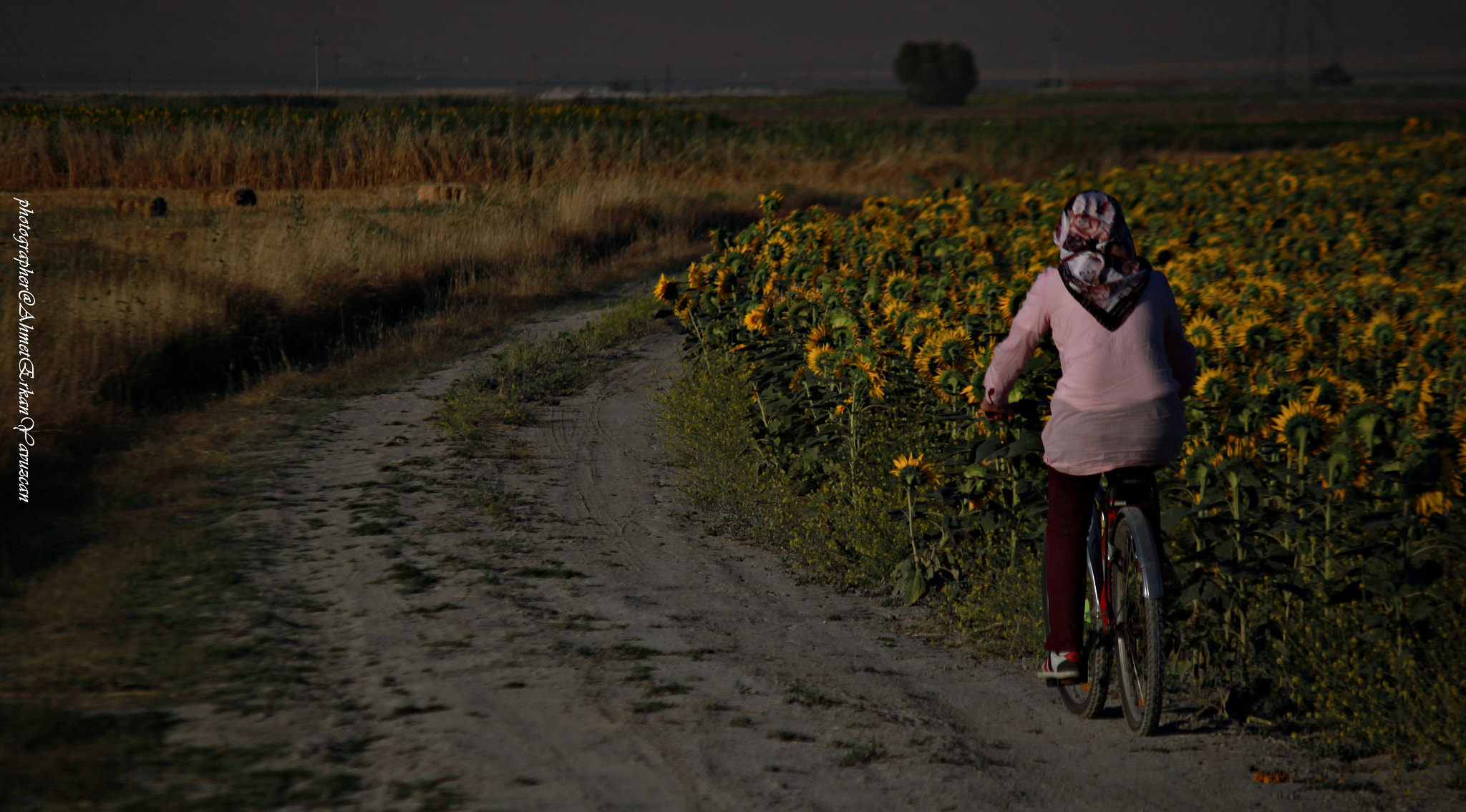 Canon EOS 500D (EOS Rebel T1i / EOS Kiss X3) sample photo. Hope to turn the pedal photography