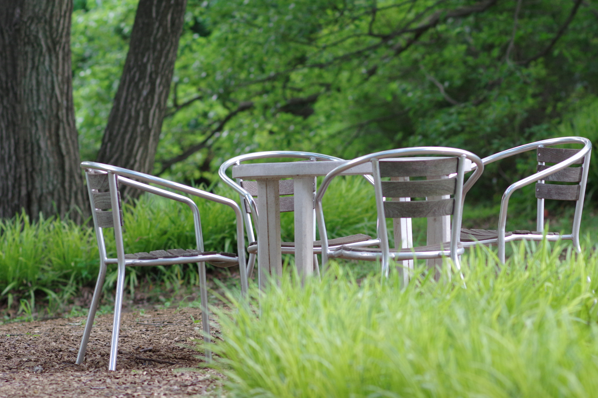 Pentax smc DA* 200mm F2.8 ED (IF) SDM sample photo. A talk under the green breeze.... photography
