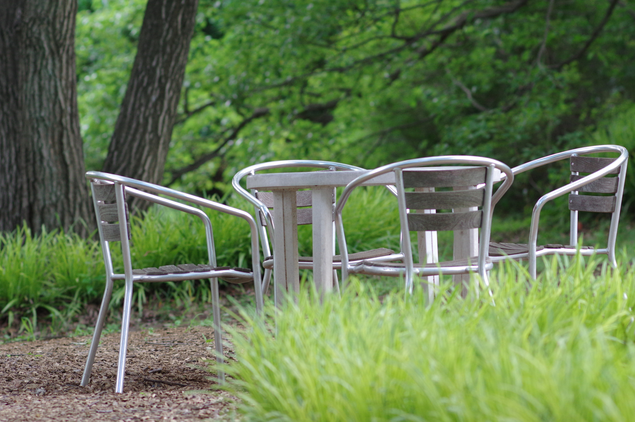 Pentax smc DA* 200mm F2.8 ED (IF) SDM sample photo. A talk under the green breeze.... photography