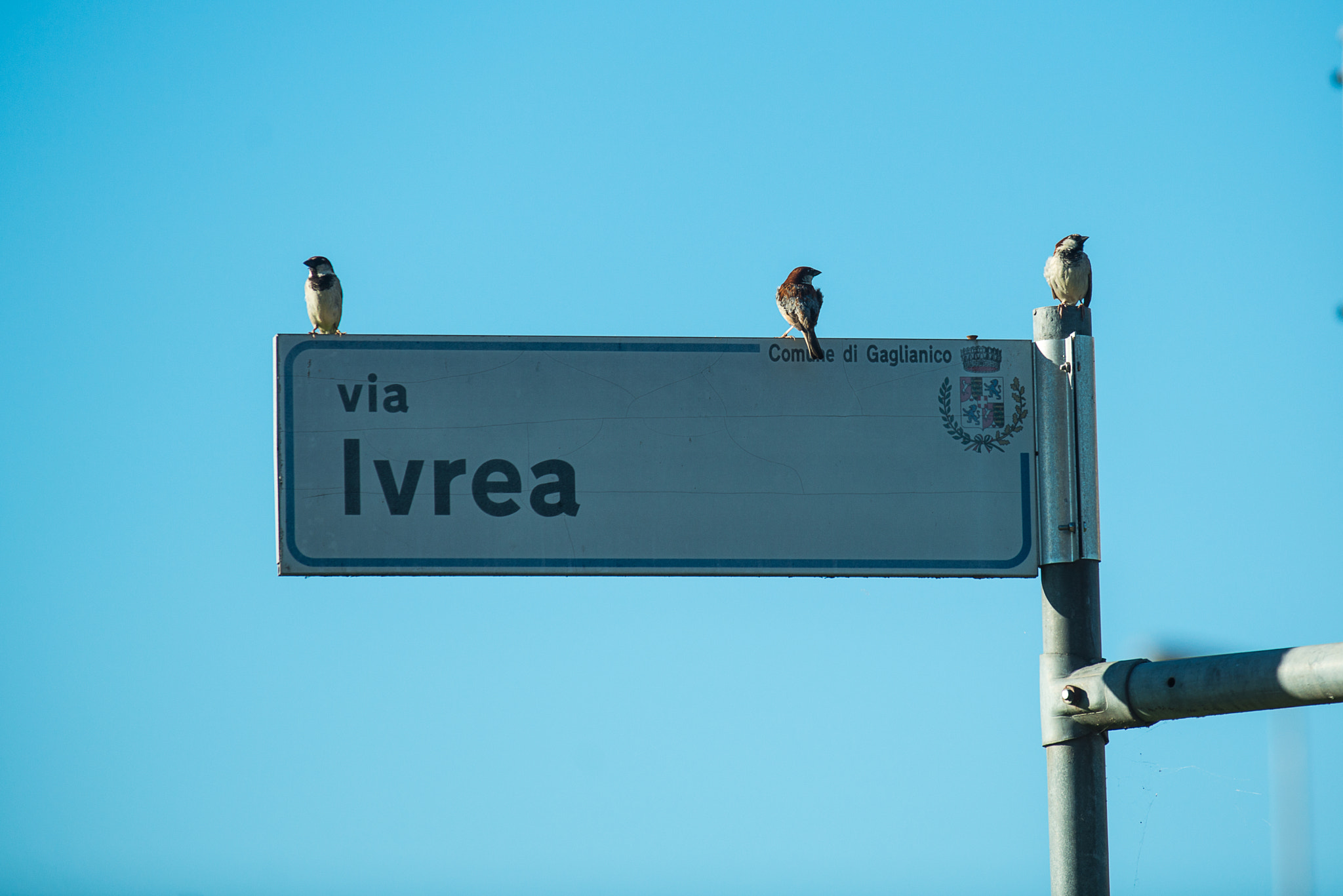 AF-S Zoom-Nikkor 80-200mm f/2.8D IF-ED sample photo. Damn you and your map! where's via ivrea? photography