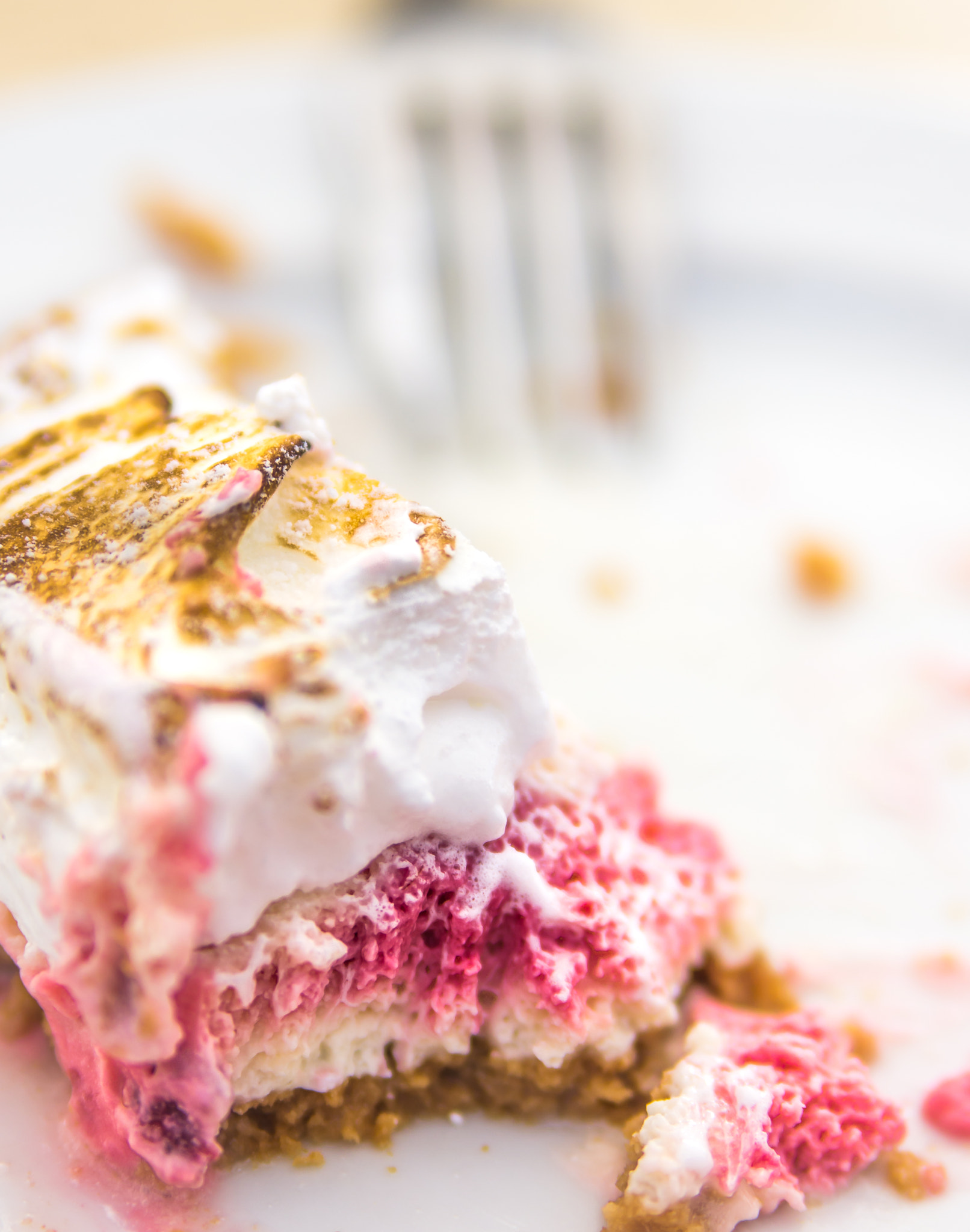 Tamron AF 28-75mm F2.8 XR Di LD Aspherical (IF) sample photo. Raspberry meringue slice photography