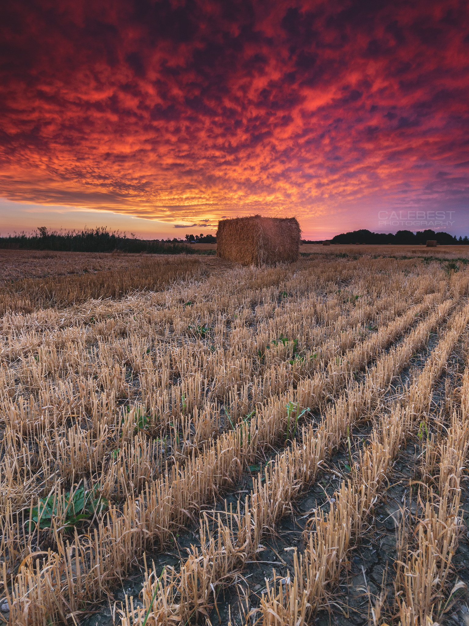 Sigma AF 10-20mm F4-5.6 EX DC sample photo. Essex hay at sunrise photography
