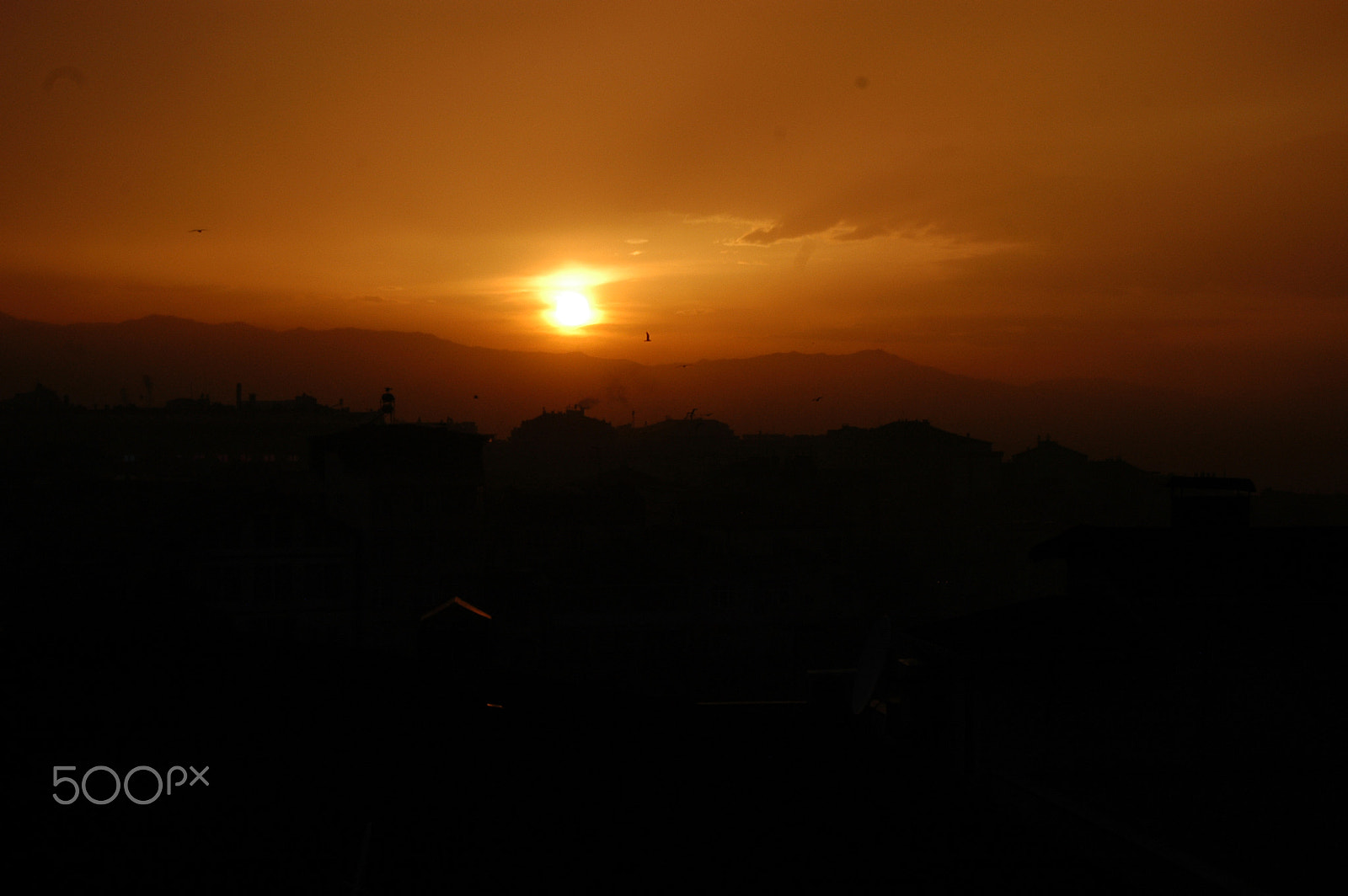 Nikon D100 sample photo. Trkz photography