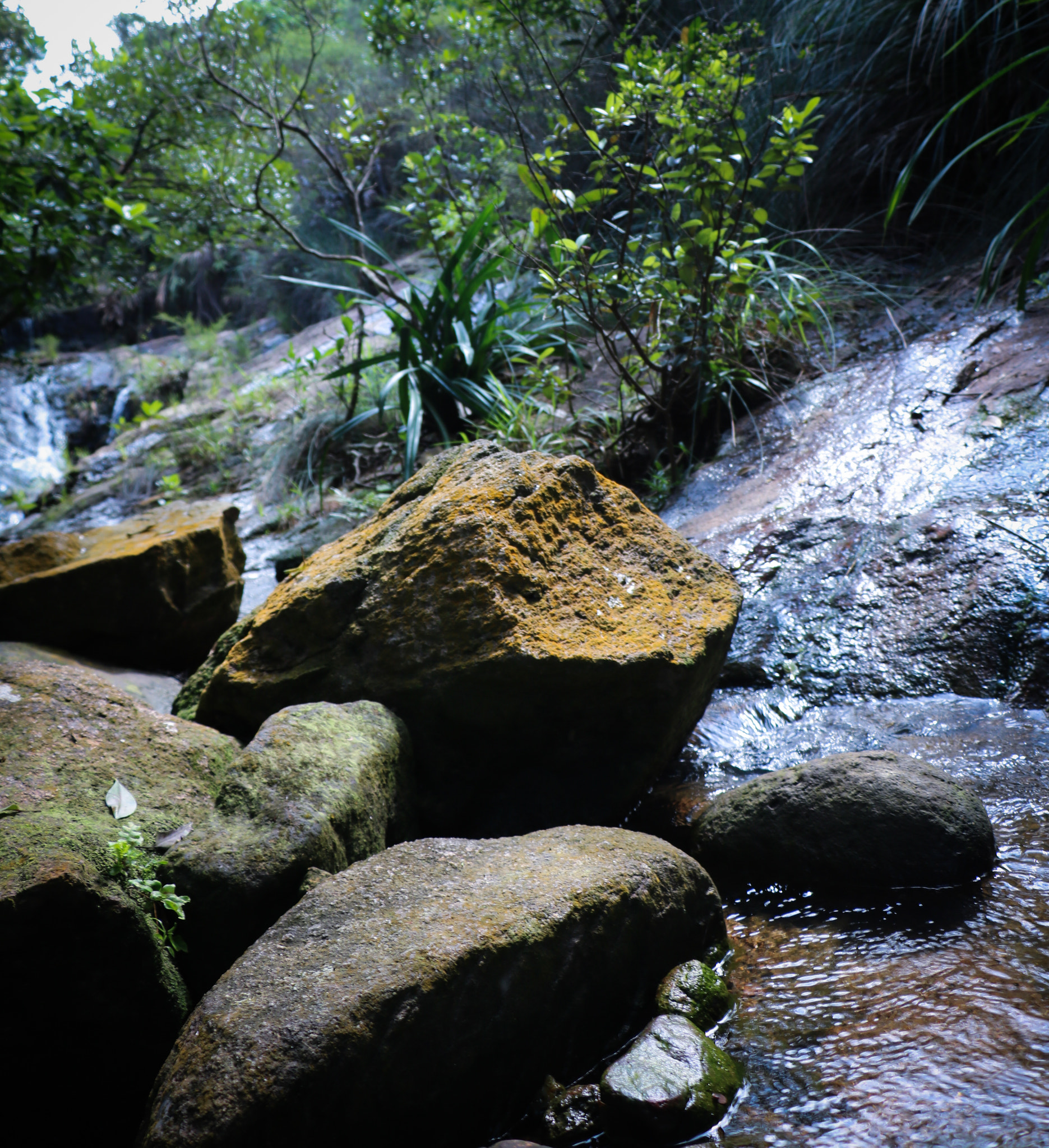 Canon EOS 760D (EOS Rebel T6s / EOS 8000D) sample photo. Rock photography