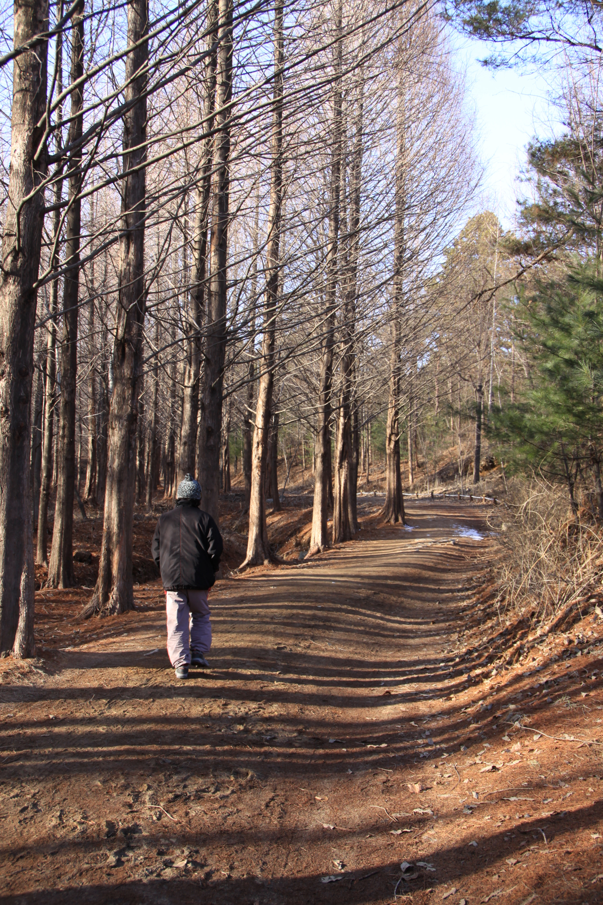 Sigma 18-250mm F3.5-6.3 DC OS HSM sample photo. Mom photography