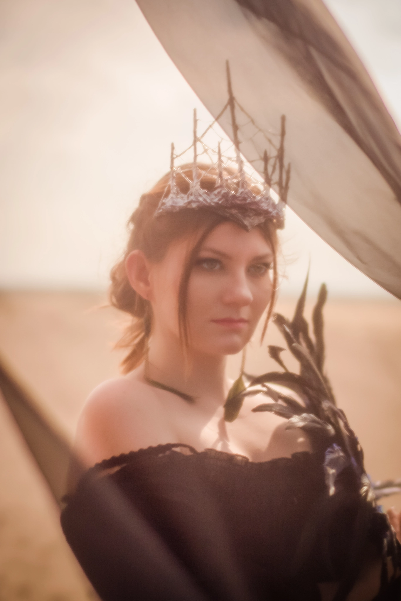 Sigma 50mm F1.4 EX DG HSM sample photo. Desert queen photography