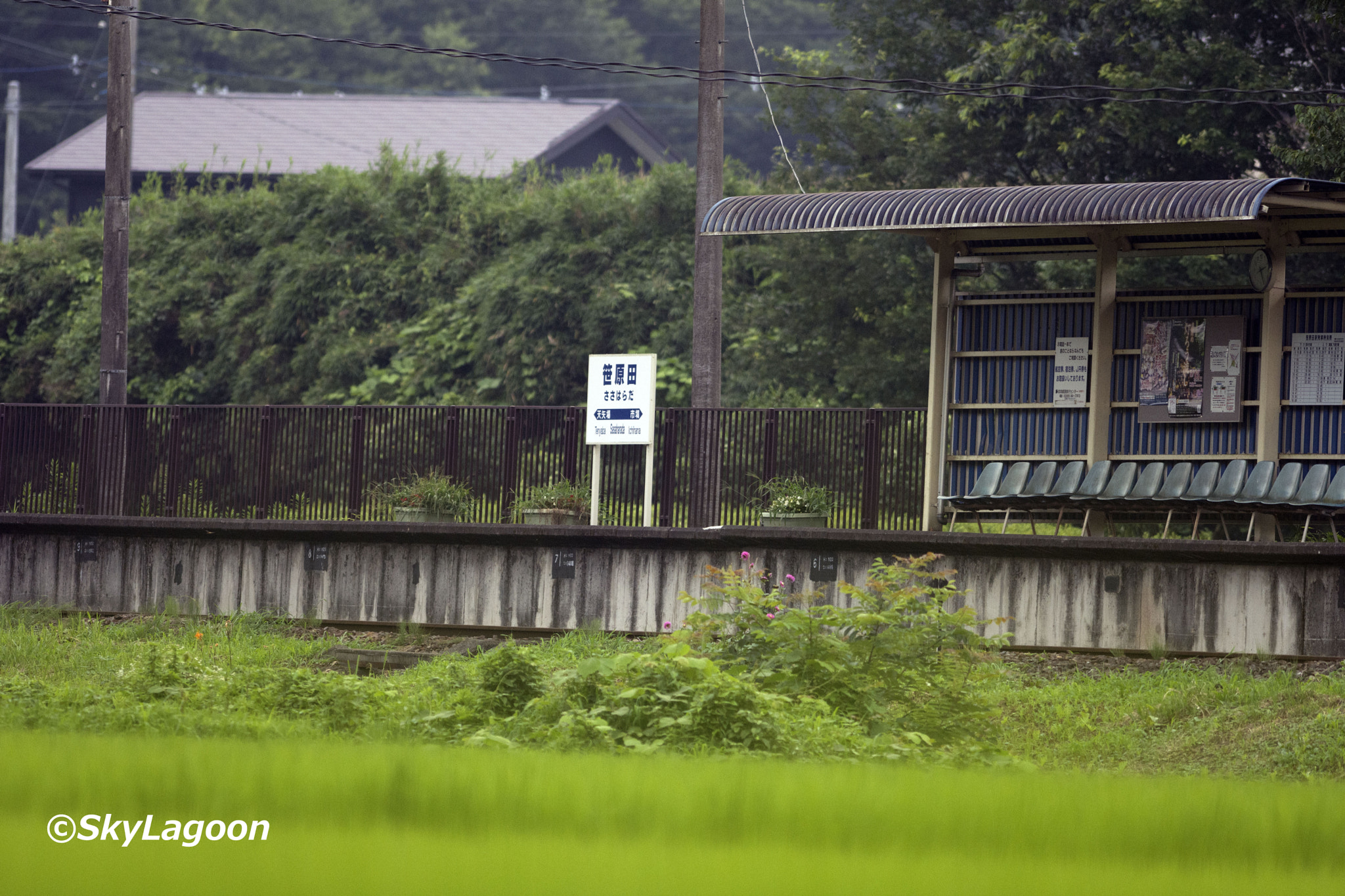 Nikon AF-S Nikkor 300mm F2.8G ED VR II sample photo. Station photography