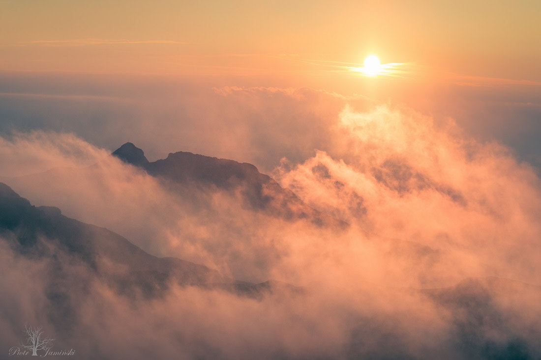 Sigma 70-200mm F2.8 EX DG Macro HSM II sample photo. "golden" giewont photography