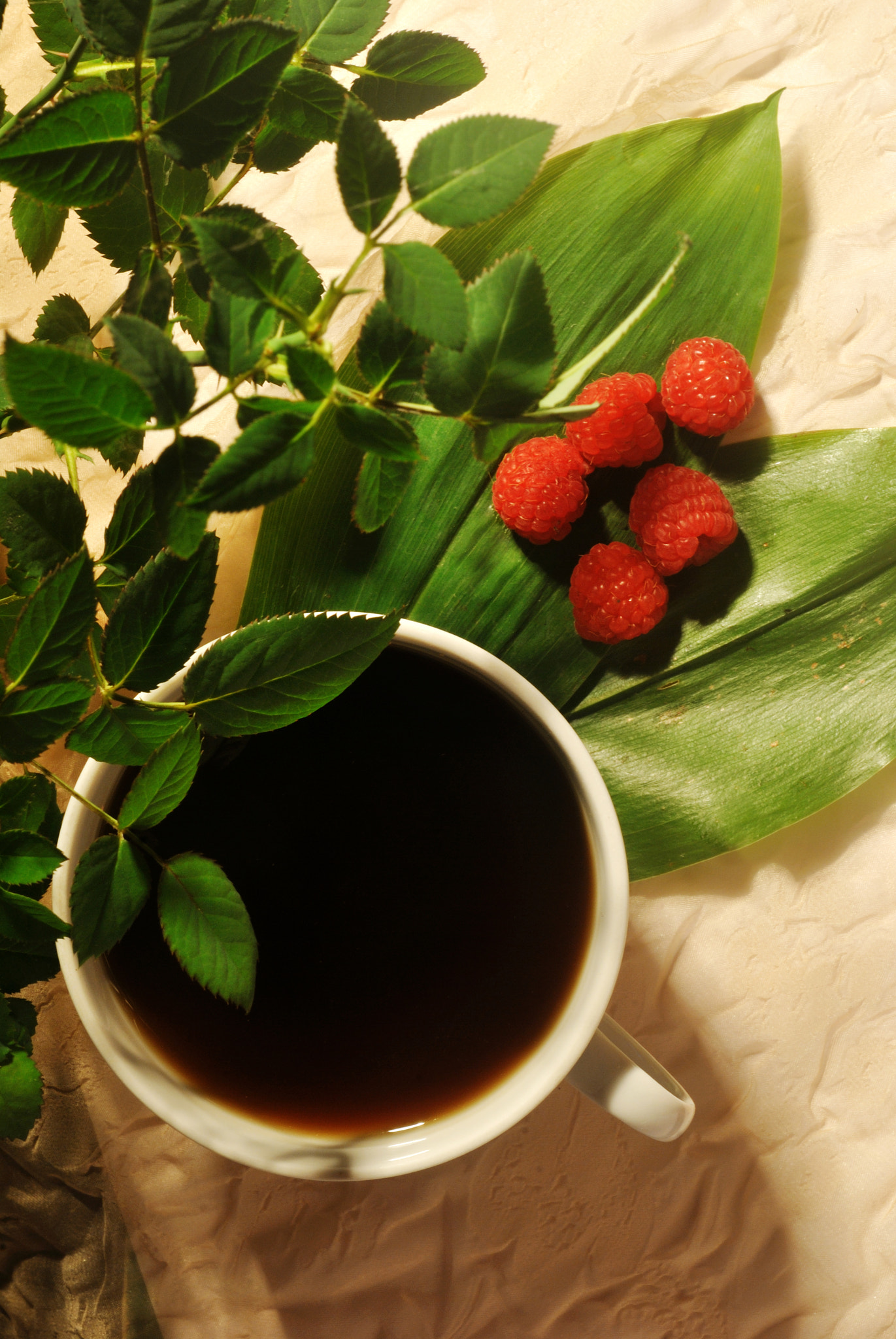 Nikon D3000 + Nikon AF-S Nikkor 50mm F1.4G sample photo. Coffee composition photography