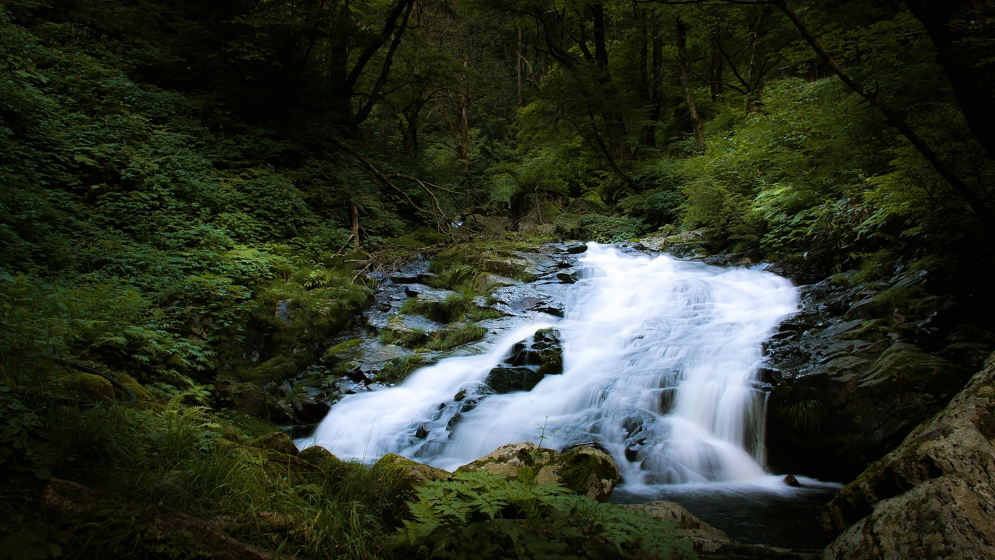 Canon EOS 100D (EOS Rebel SL1 / EOS Kiss X7) sample photo. Waterfall_20160718 photography