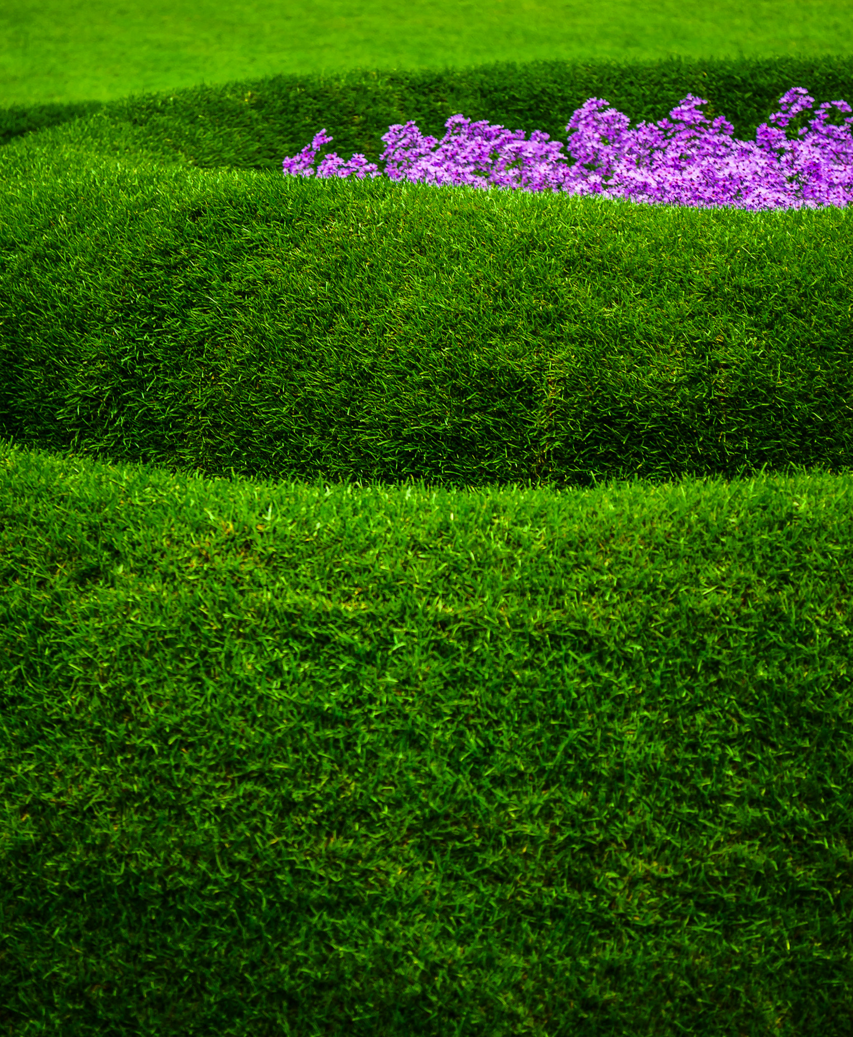 AF Zoom-Nikkor 28-85mm f/3.5-4.5 sample photo. Natural contrast photography