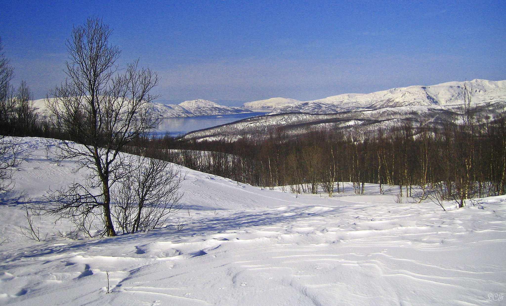 Canon DIGITAL IXUS 40 sample photo. Winter... photography