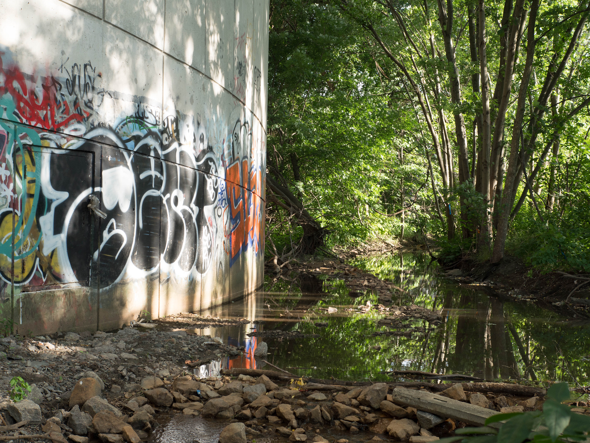 Panasonic Lumix DMC-GX8 + Panasonic Leica DG Summilux 25mm F1.4 II ASPH sample photo. Concrete forest photography
