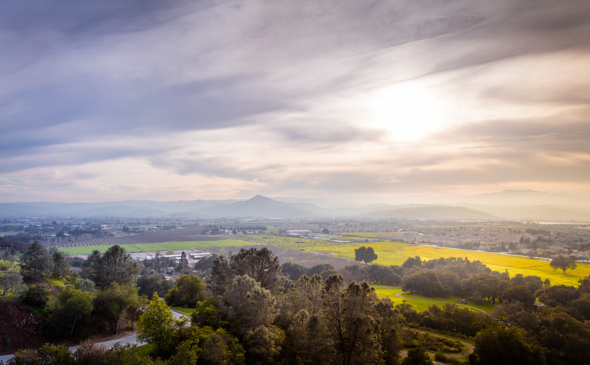 Canon TS-E 24.0mm f/3.5 L II sample photo. El toro photography