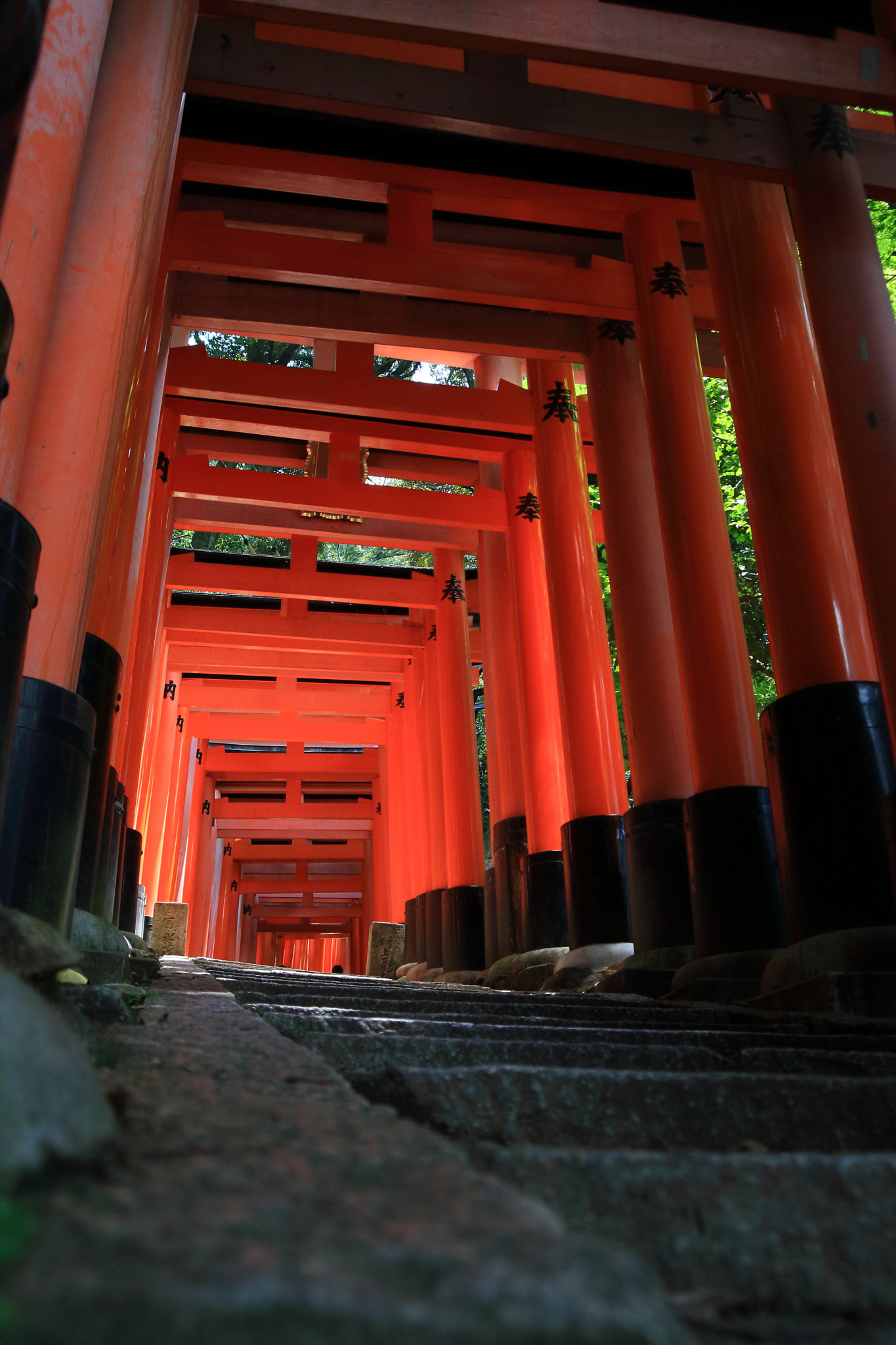 Canon EOS-1D Mark III + Canon EF 28-80mm f/3.5-5.6 USM sample photo. 千本鳥居 photography