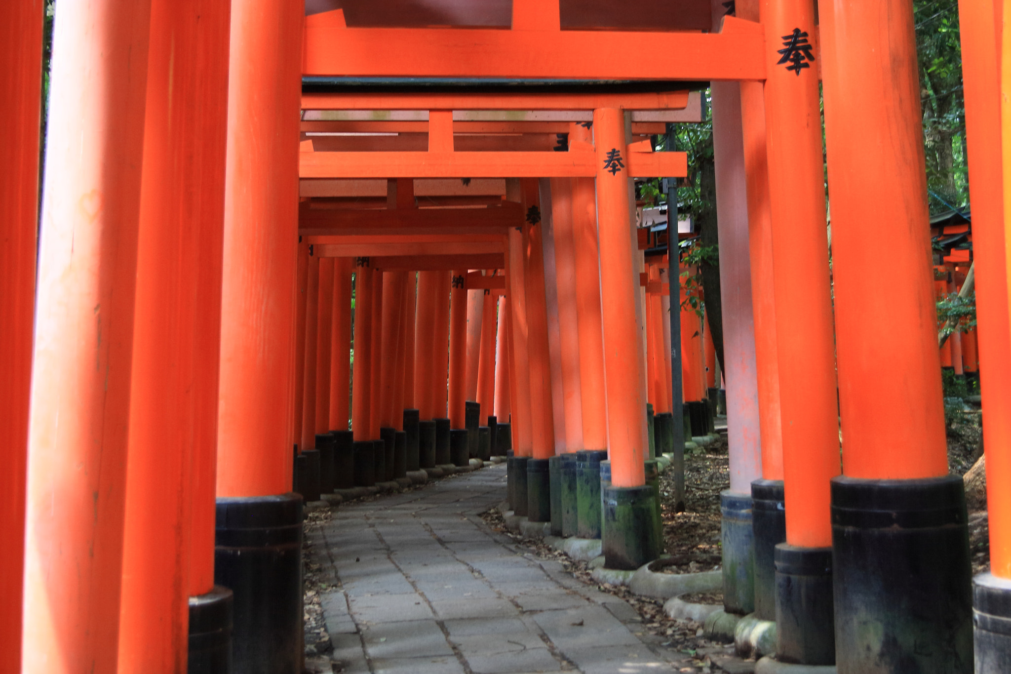 Canon EF 28-80mm f/3.5-5.6 USM sample photo. 千本鳥居 photography