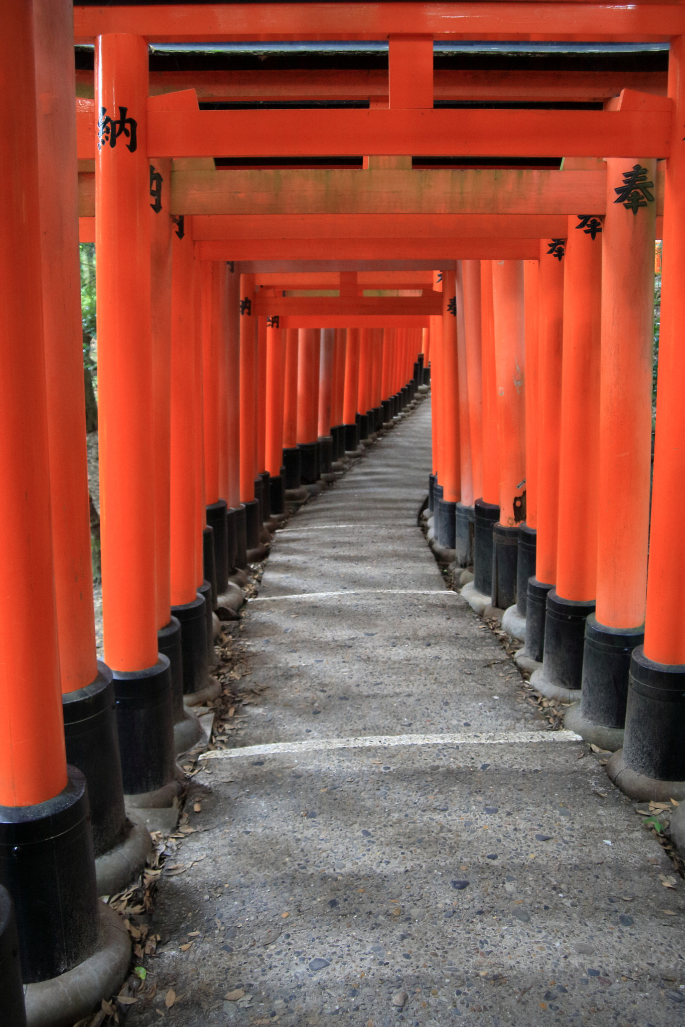Canon EF 28-80mm f/3.5-5.6 USM sample photo. 千本鳥居 photography