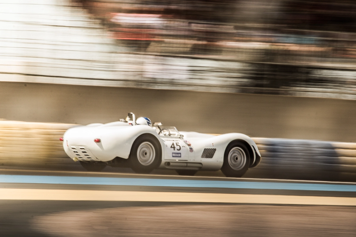Canon EOS 60D + Canon EF 100-400mm F4.5-5.6L IS USM sample photo. Lister knobbly (1959) photography