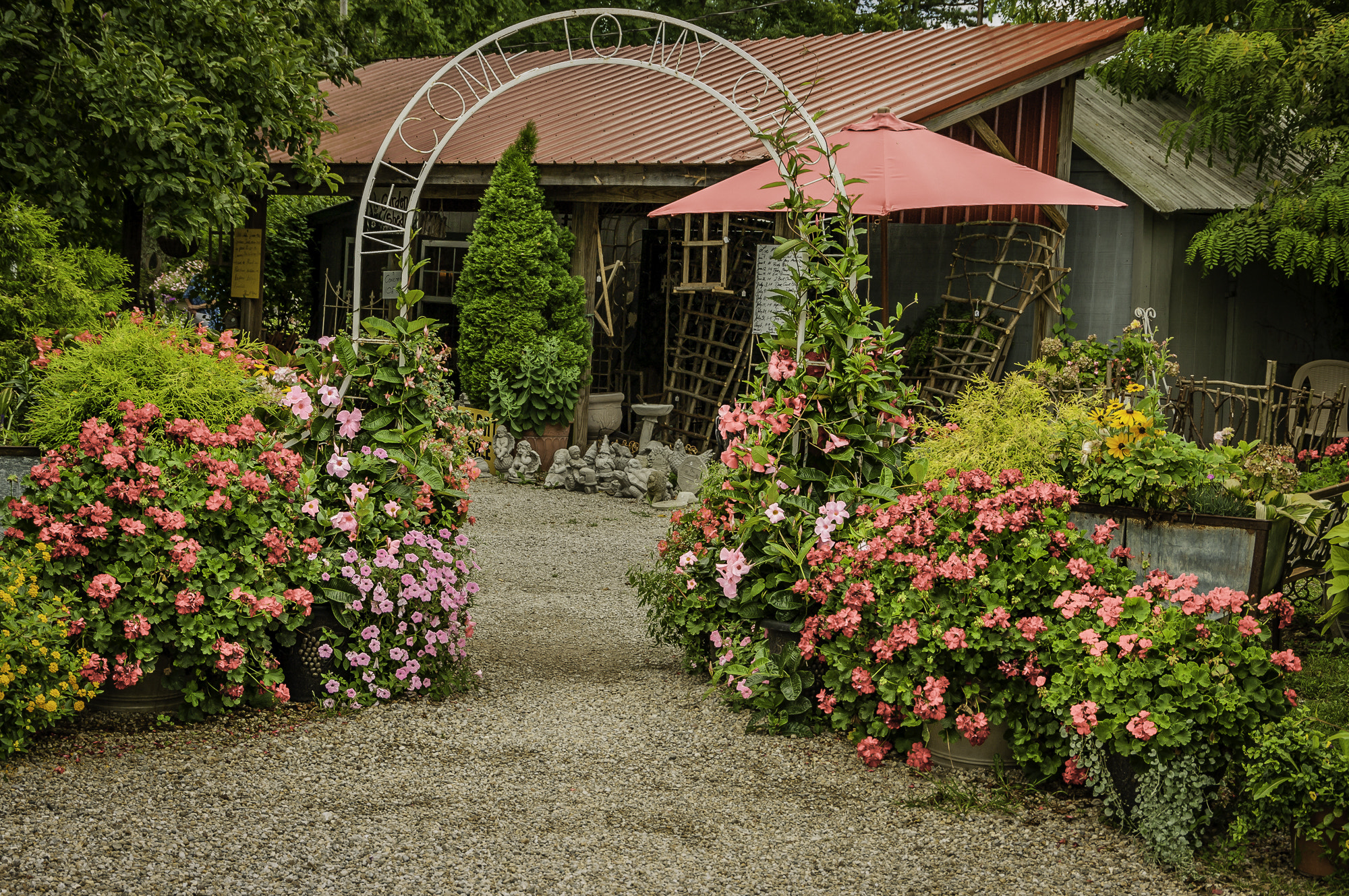 Pentax K20D sample photo. Stream hill gardens photography