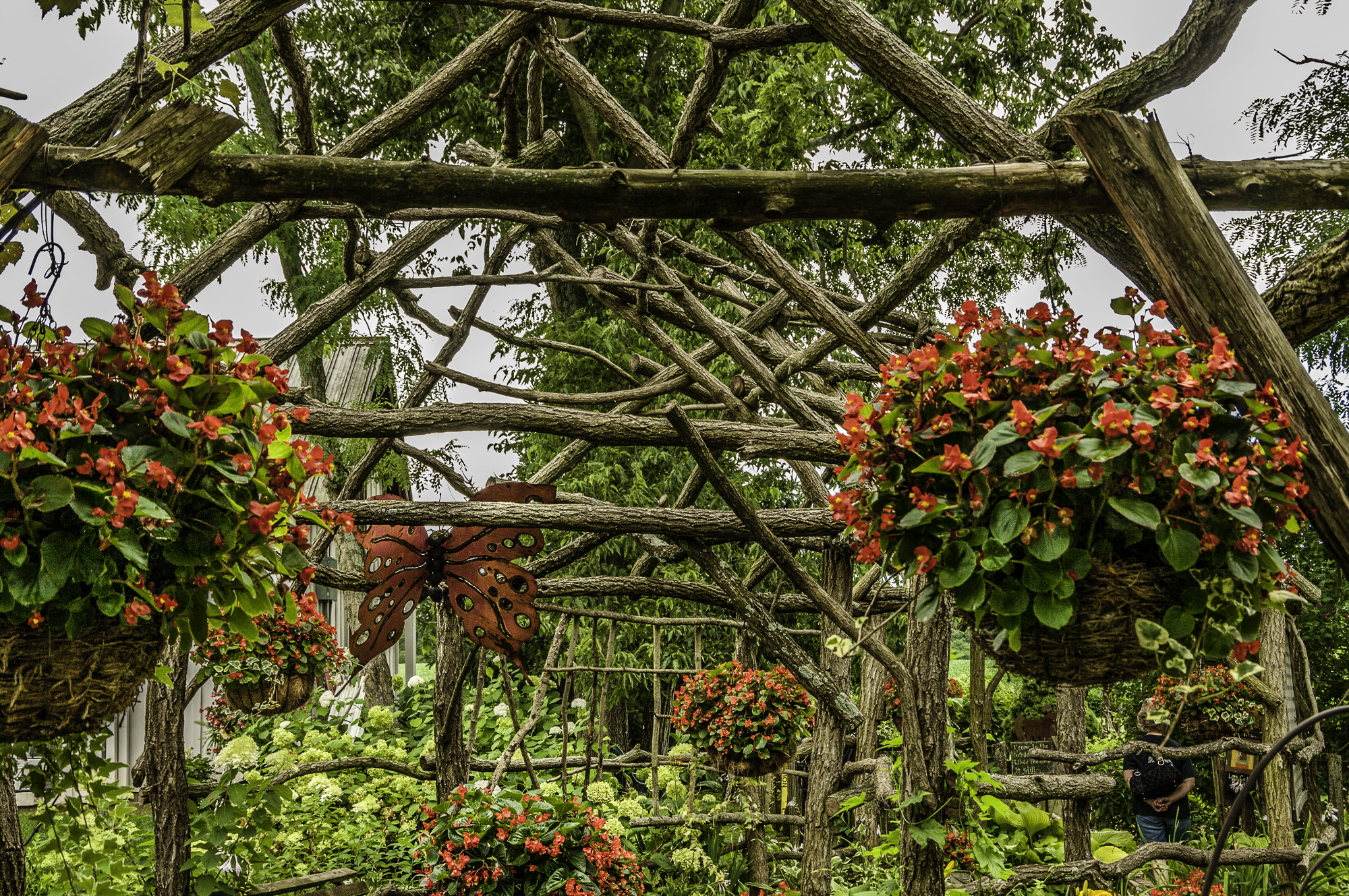 Pentax K20D sample photo. Stream hill gardens photography