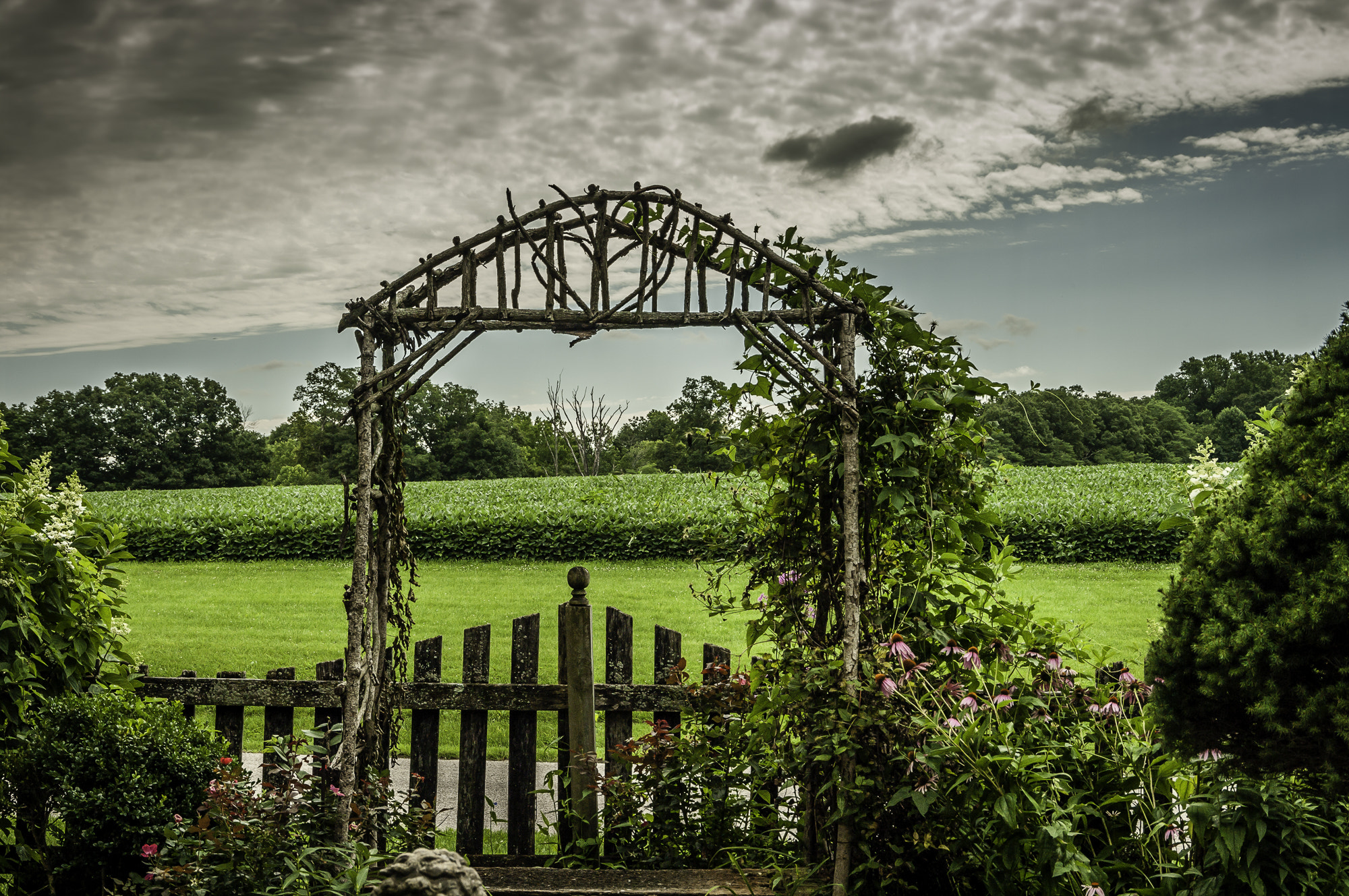 Pentax K20D sample photo. Stream hill gardens photography