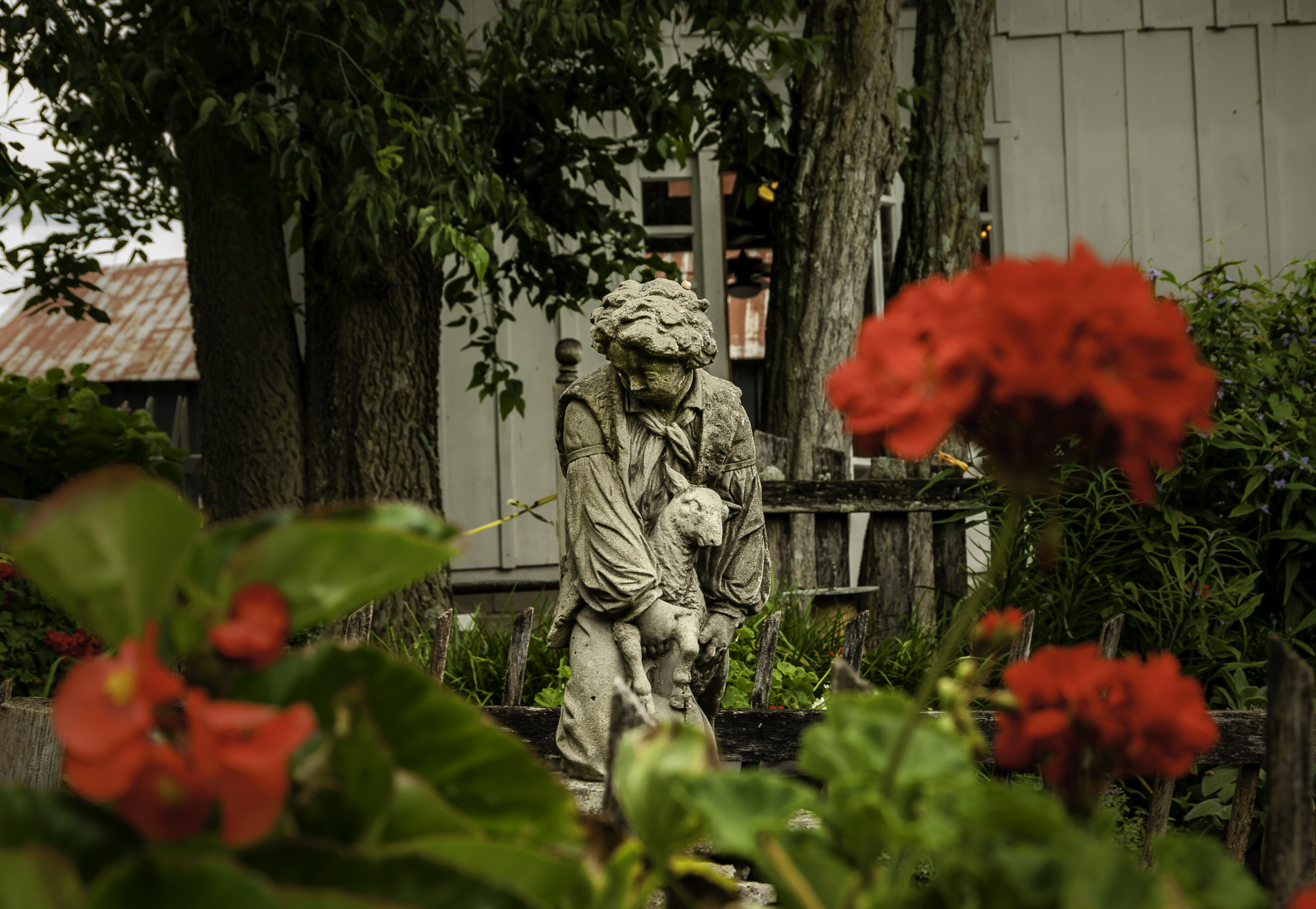 Pentax K20D sample photo. Stream hill gardens photography