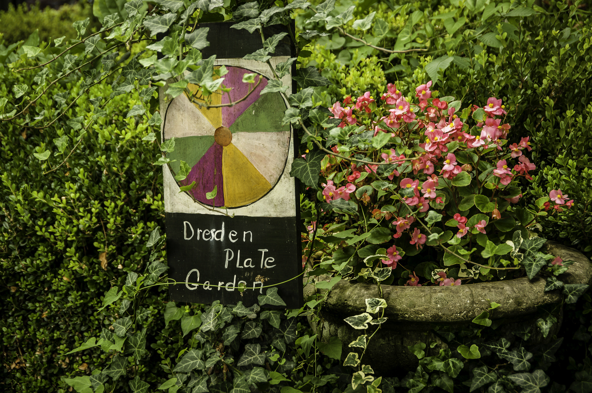 Pentax K20D sample photo. Stream hill gardens photography