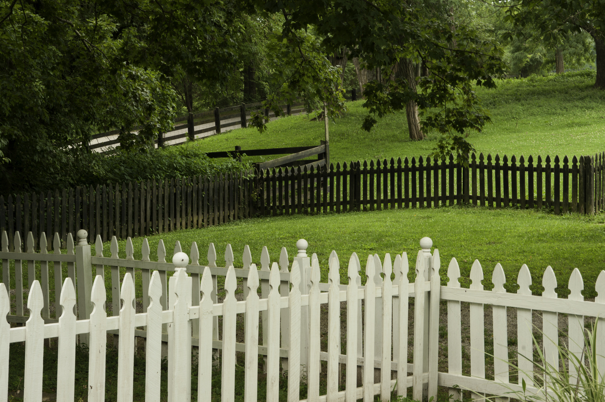 Pentax K20D sample photo. Stream hill gardens photography