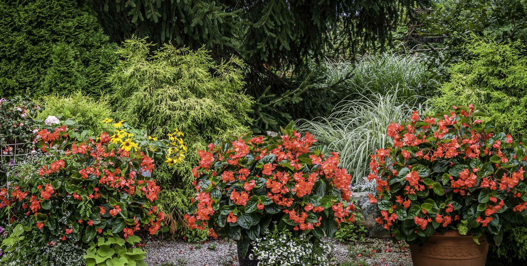 Pentax K20D sample photo. Stream hill gardens photography