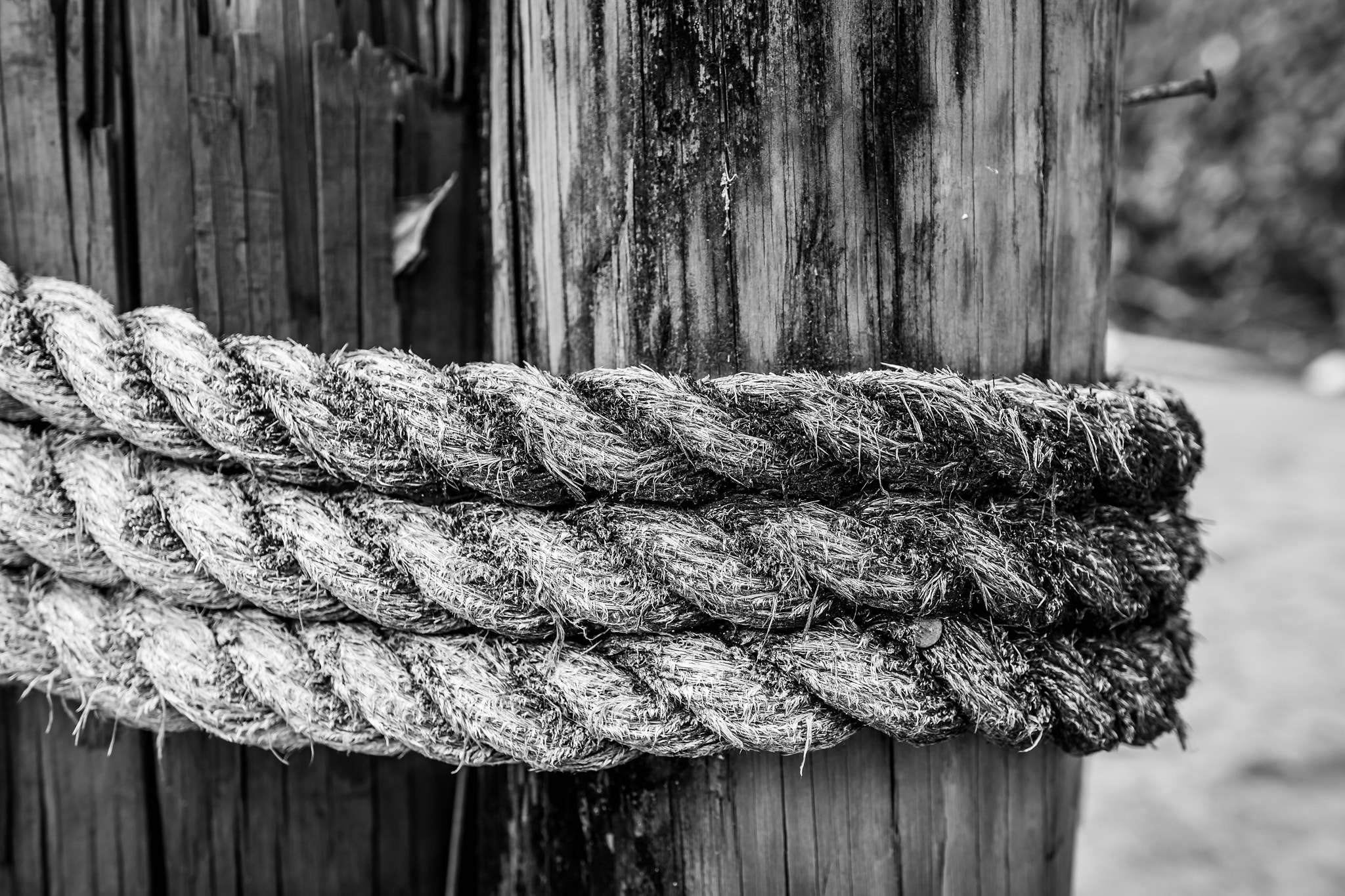 Sigma 18-35mm f/1.8 DC HSM sample photo. The rope photography