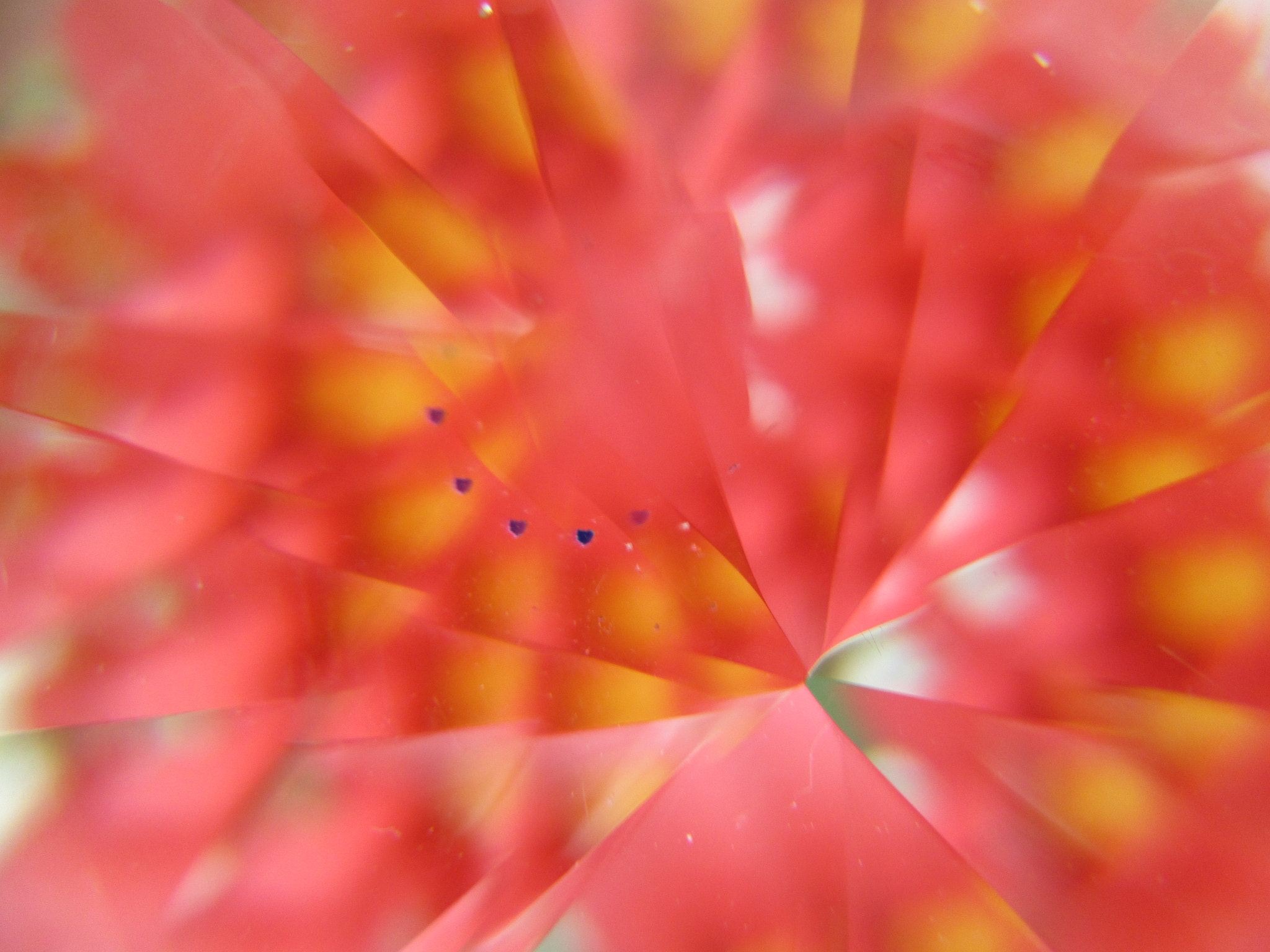 Canon PowerShot ELPH 130 IS (IXUS 140 / IXY 110F) sample photo. Blossom photography