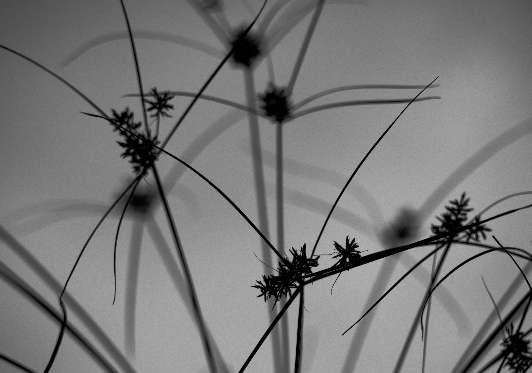 Panasonic Lumix G Vario 45-200mm F4-5.6 OIS sample photo. Memories - 2 photography