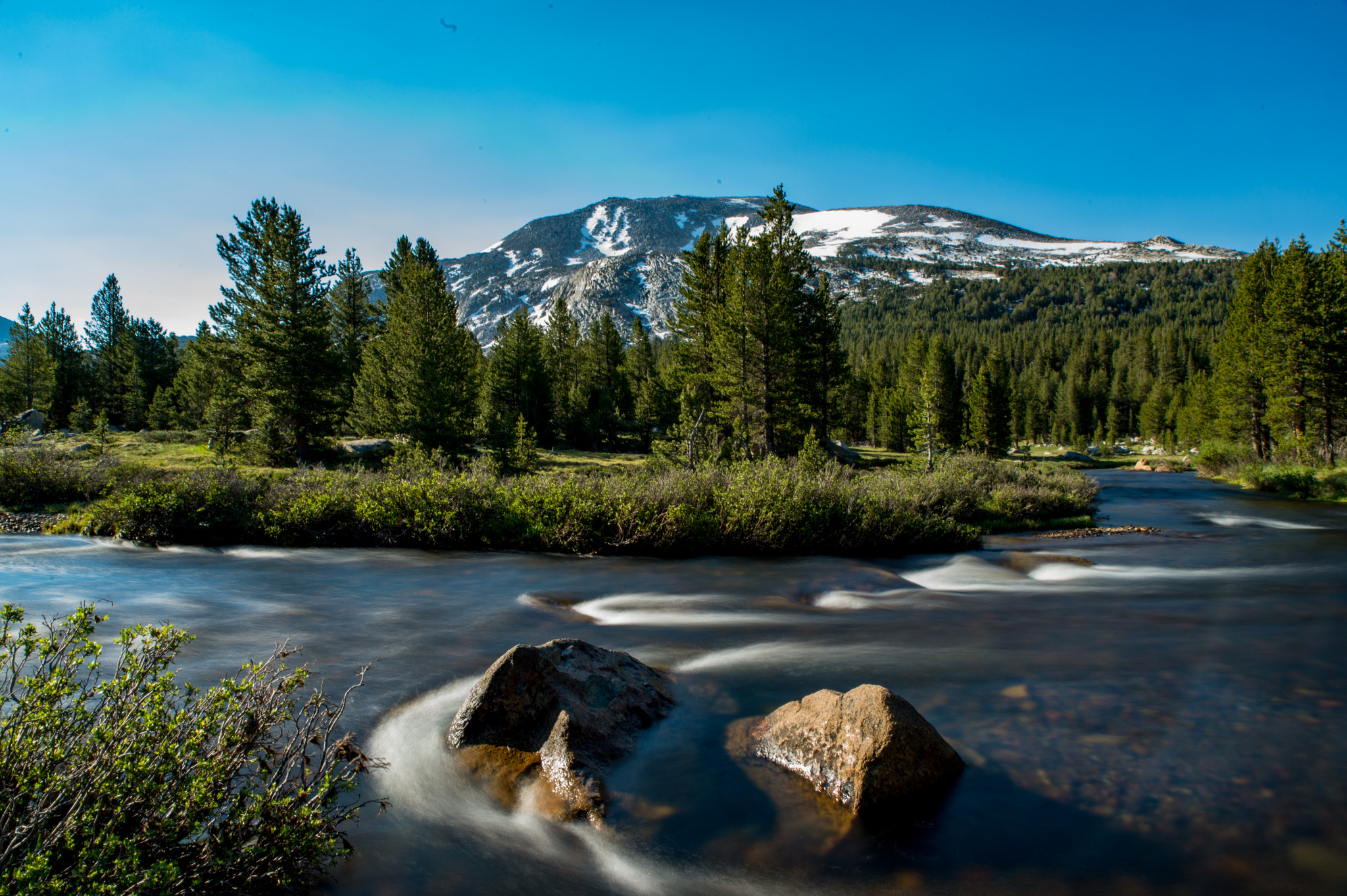 Nikon Df sample photo. Yosemite national park photography