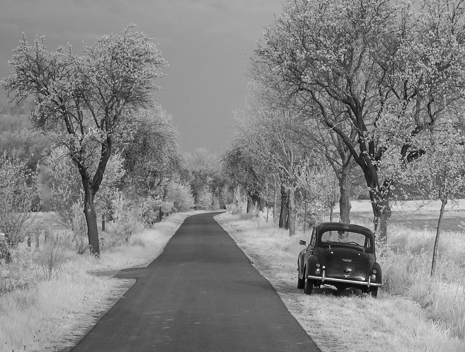 Nikon D70 sample photo. Little lone black car in spring photography