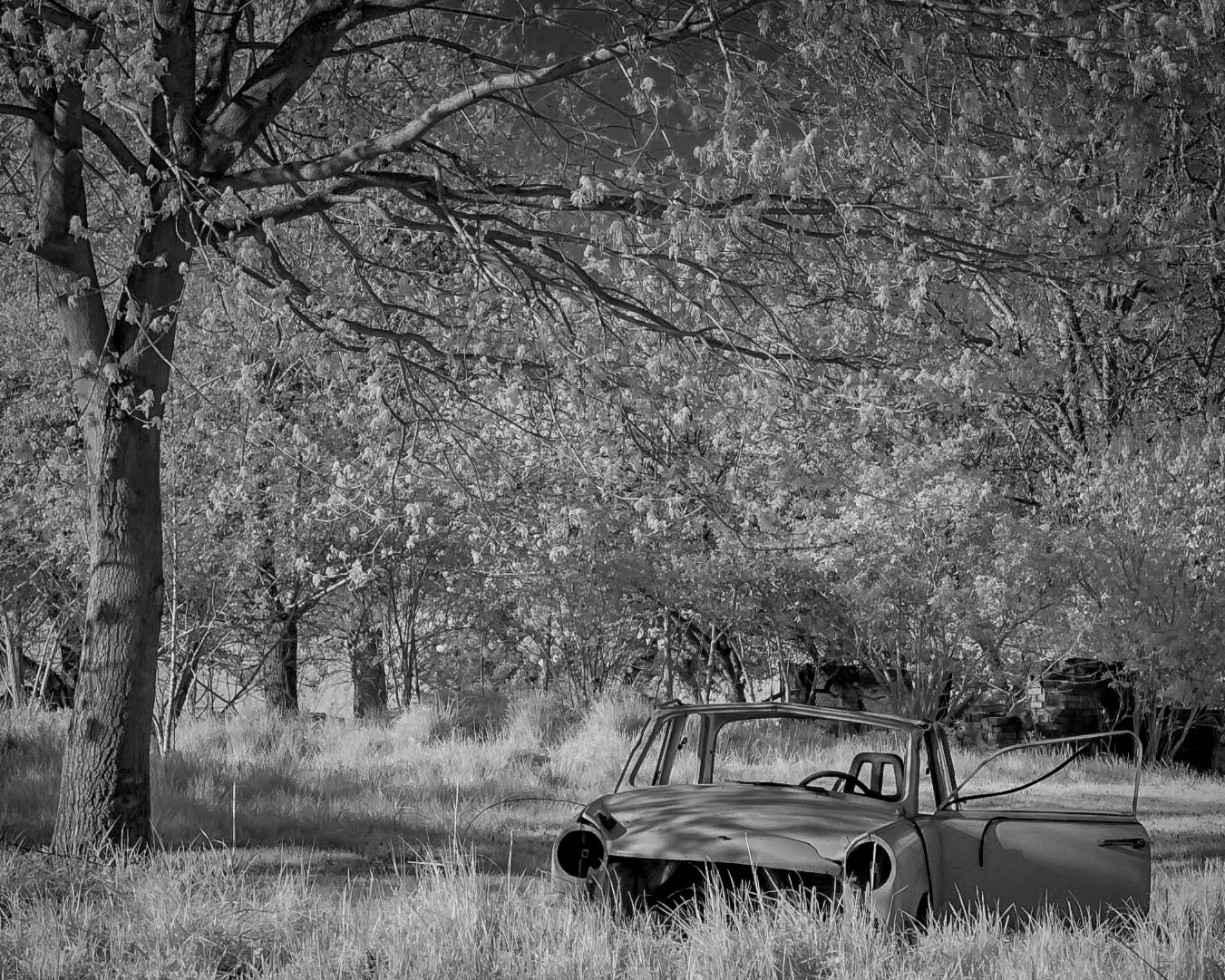 Nikon D70 sample photo. Trabi forlorn photography